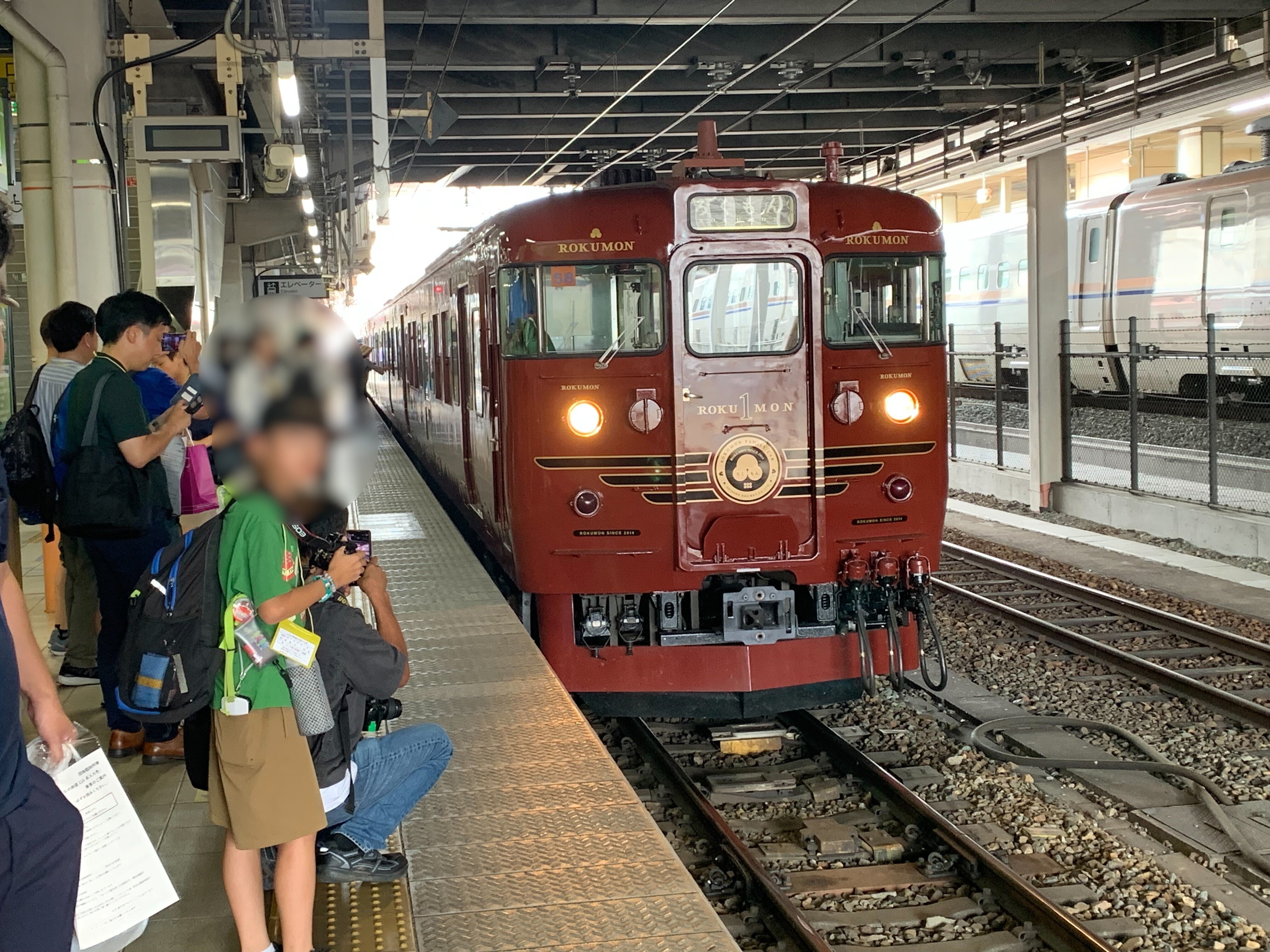 しなの鉄道スカ色乗車記｜高山 雷鳥