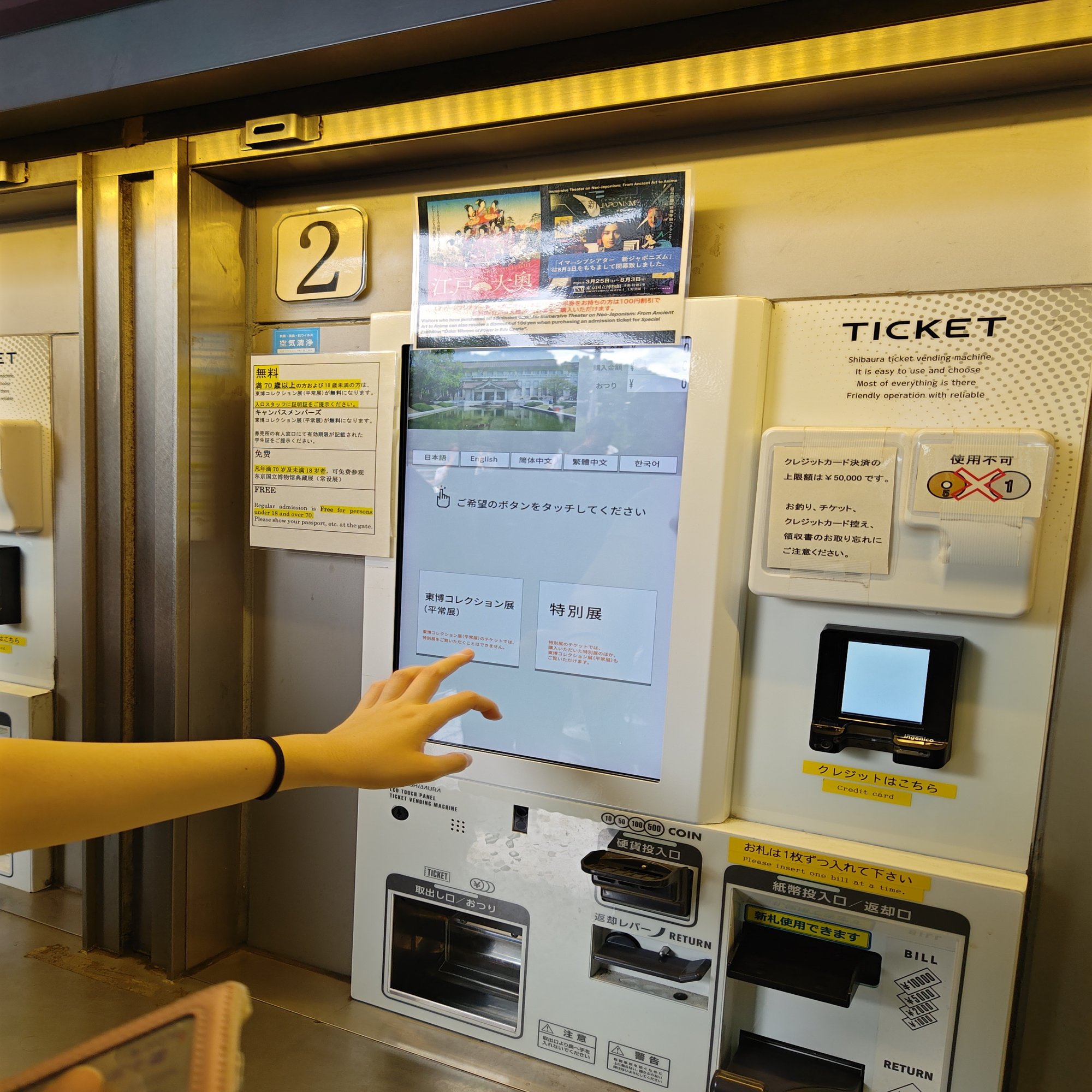 特別展🪭江戸大奥いってみた｜きみマム