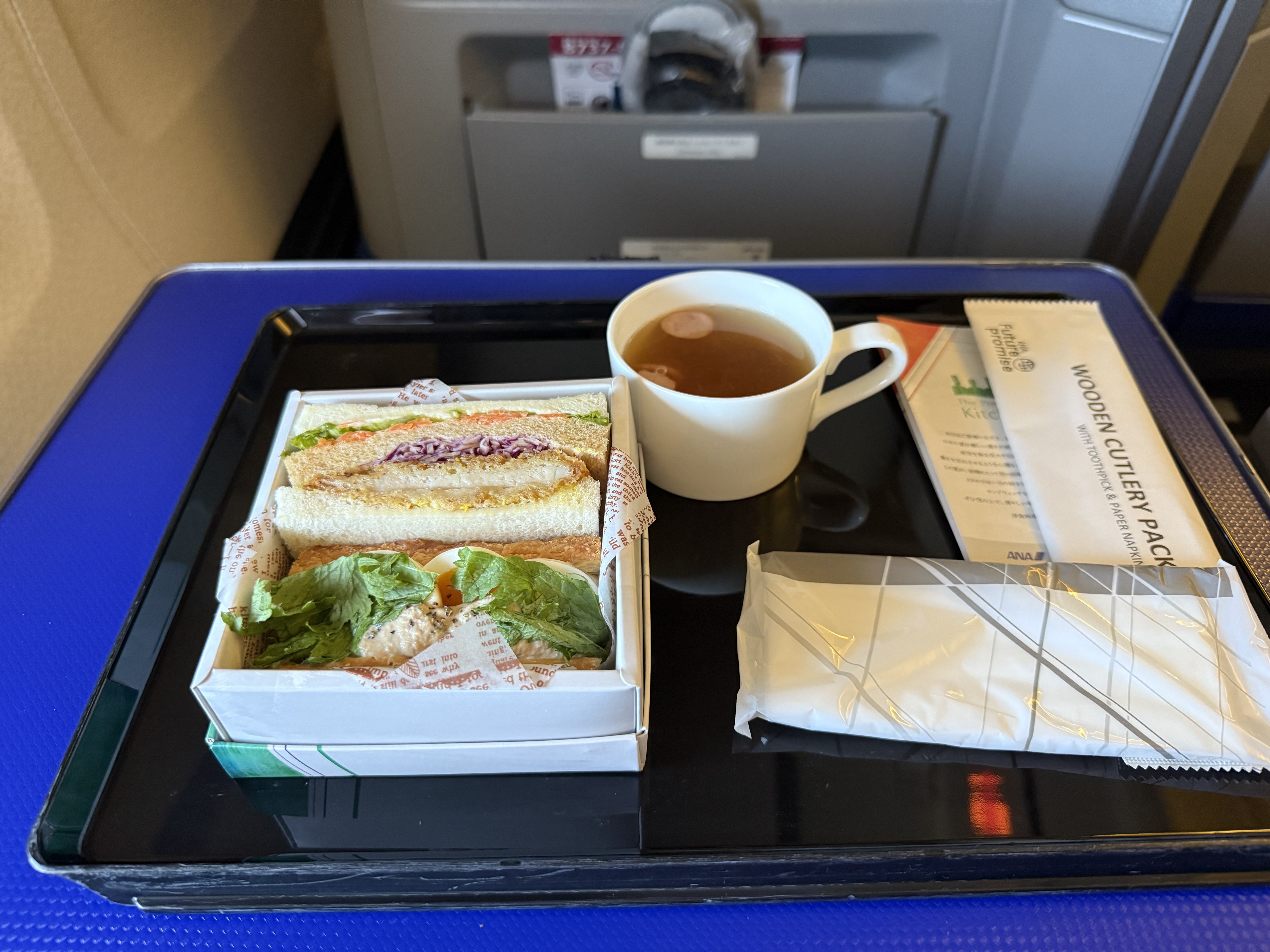 搭乗記】NH393便 羽田→庄内 プレミアムクラス EXPO 2025 ANA JETに