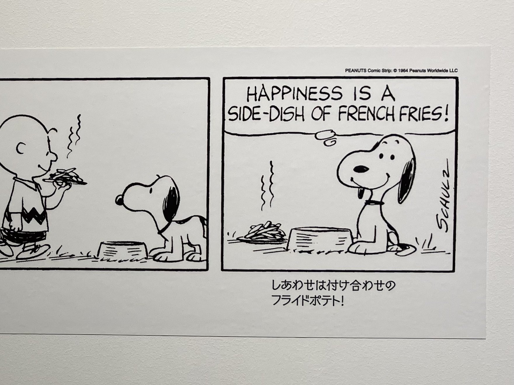 定期的にスヌーピーを浴びて前進できる人生｜Sagittarius Book