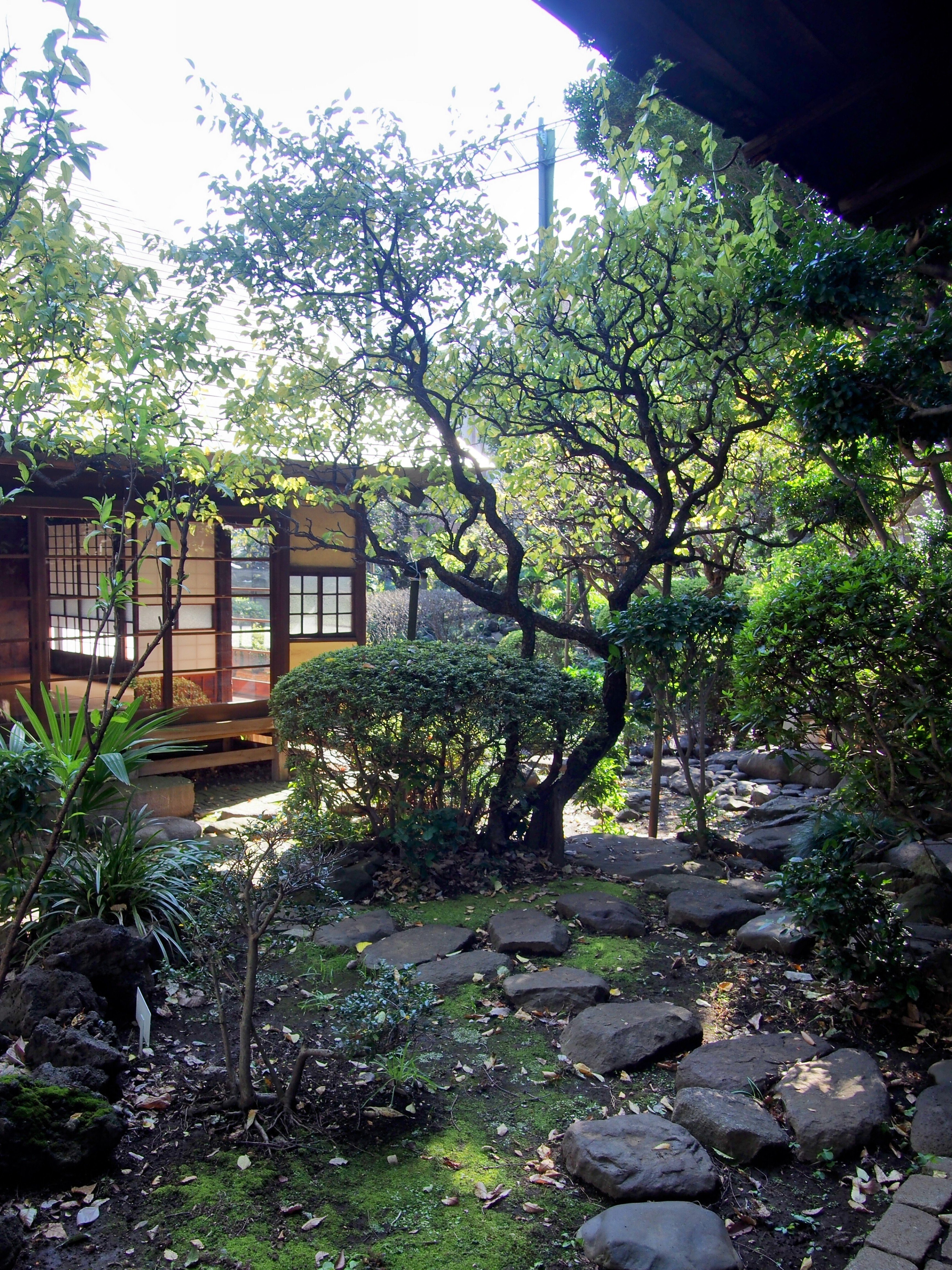 23区内に残る江戸時代後期の古民家の庭、宮野古民家自然園。｜niwa_emon