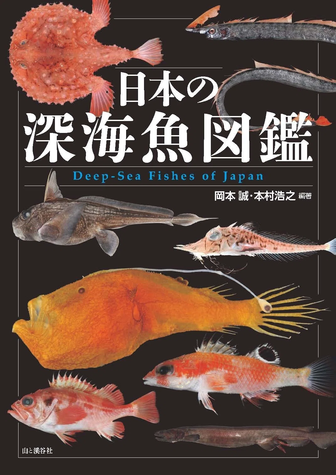 日本の深海魚図鑑』著者＆編集者トークイベント！ 9月14日（日）開催