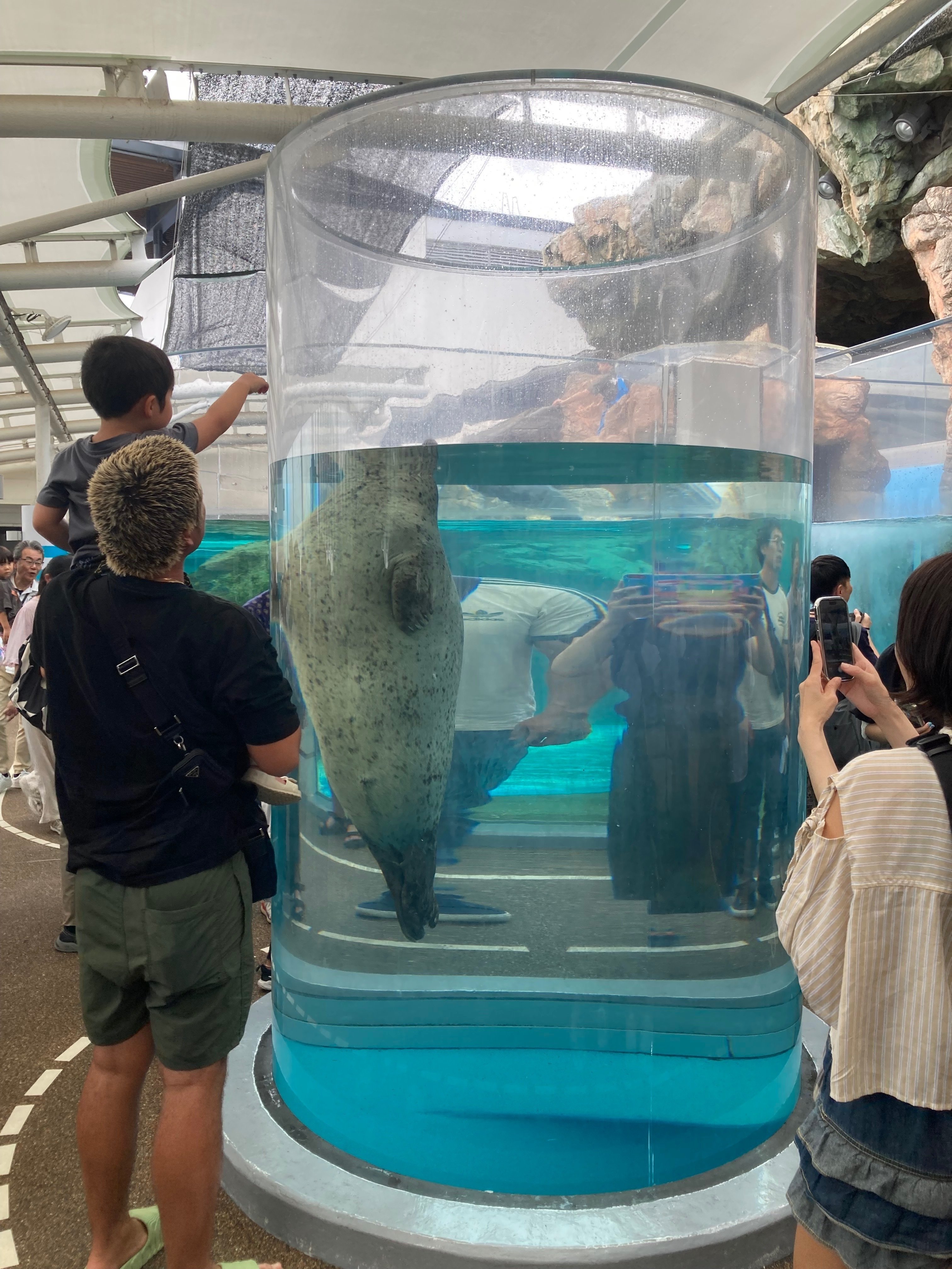 京都放浪#3】初の京都水族館～オオサンショウウオ編～｜ヤマカワカンタ