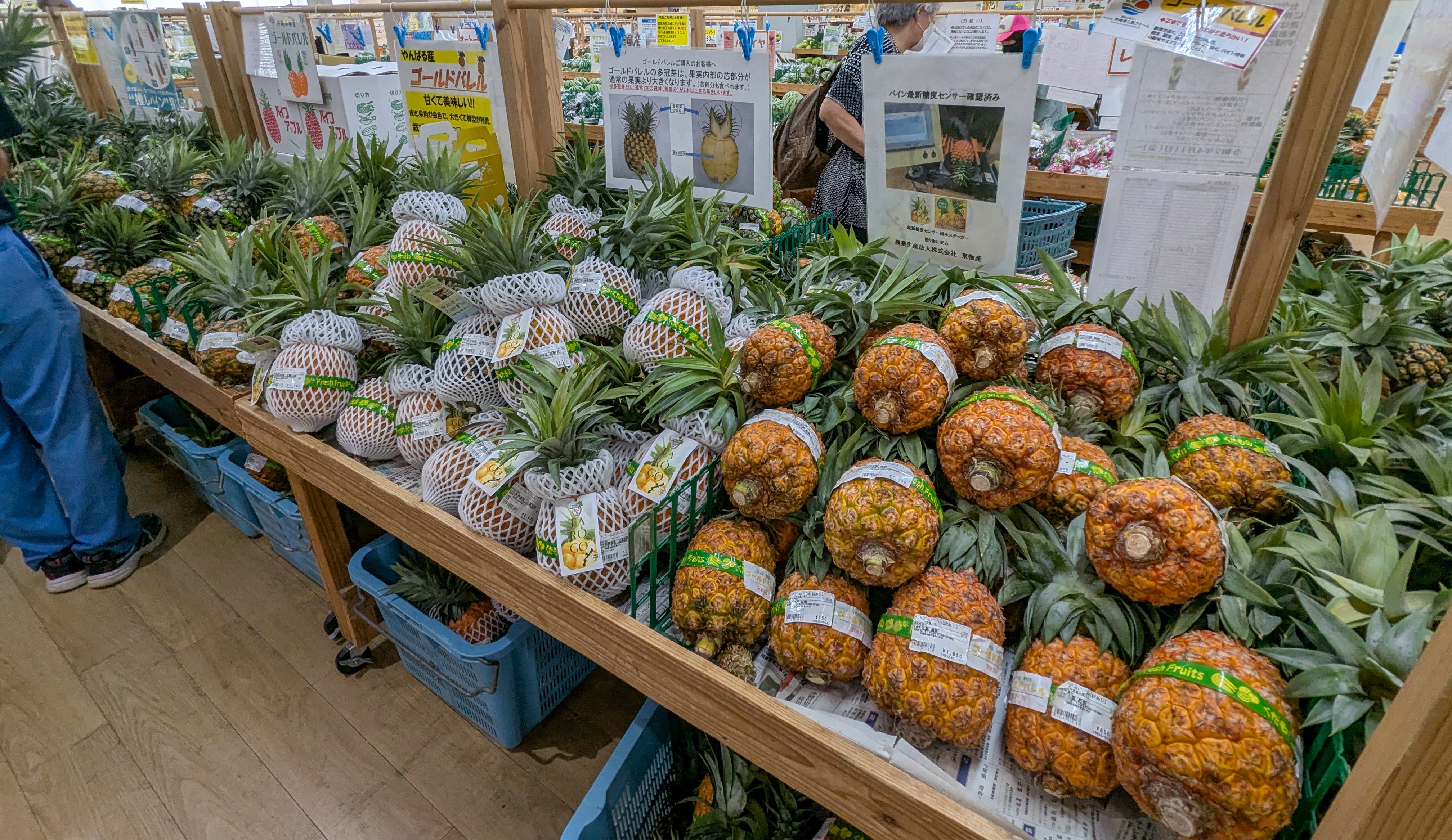 パイナップル最盛期！沖縄で初導入されたパイナップルスライサーを試し