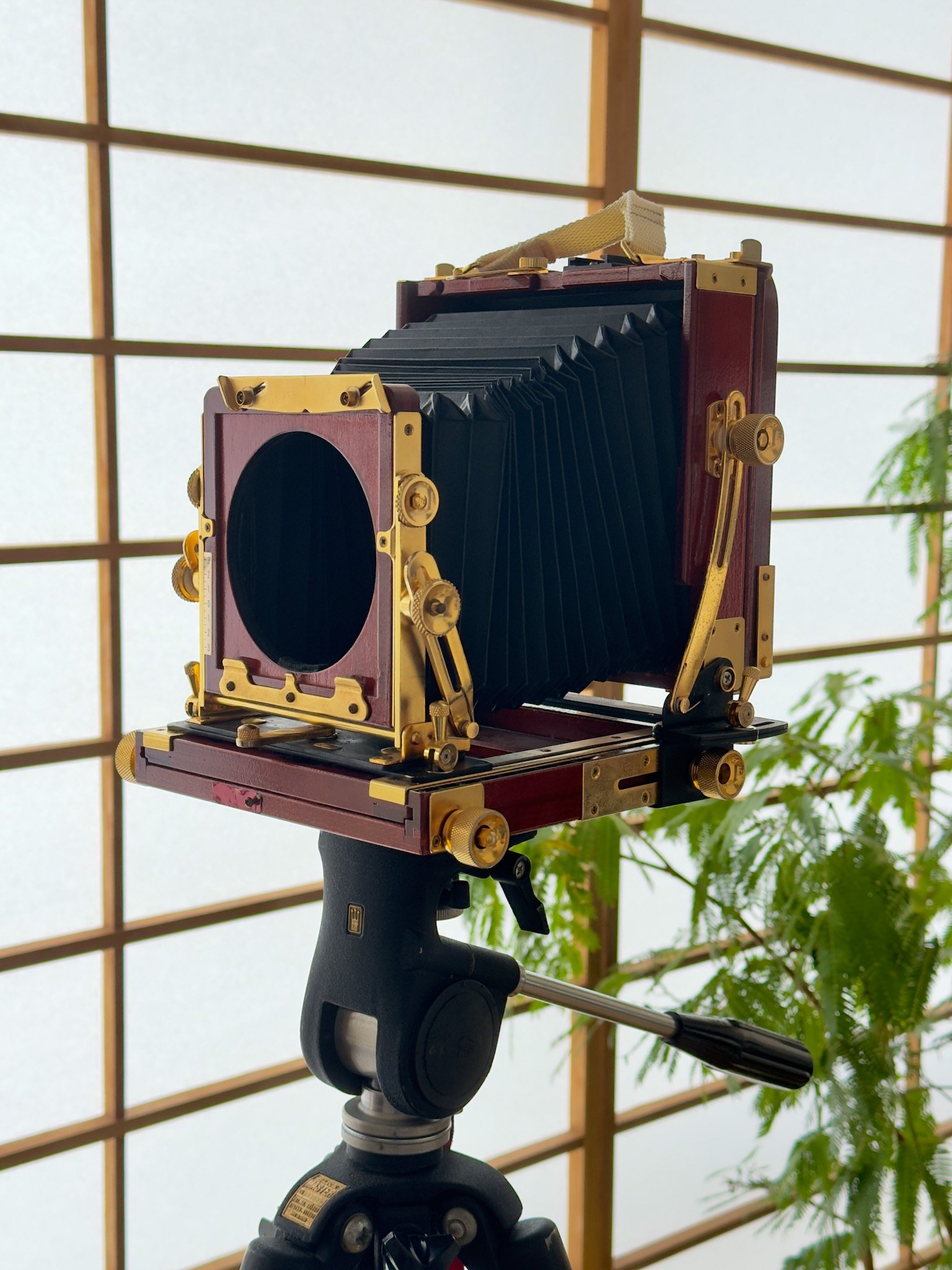 0819 カメラ　まとめ　１ ケンコー・トキナー トイカメラ 8mmフィルムカメラ形 超小型 122