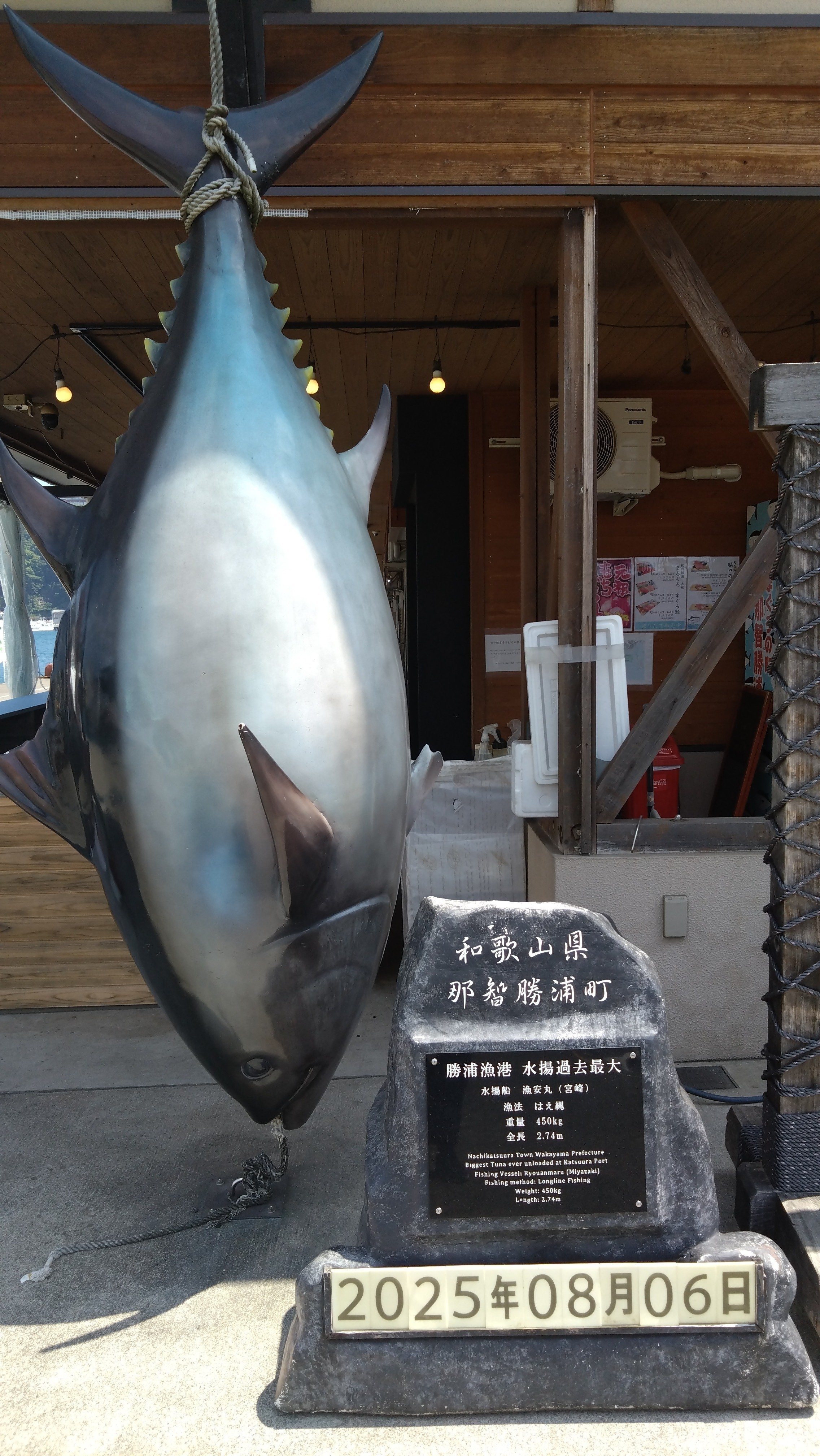 【特級呪物】蒼潮の聖導イルカ像 ～ラプラスが遺した“奇跡の航路”～ イルカの不思議 | 株式会社誠文堂新光社
