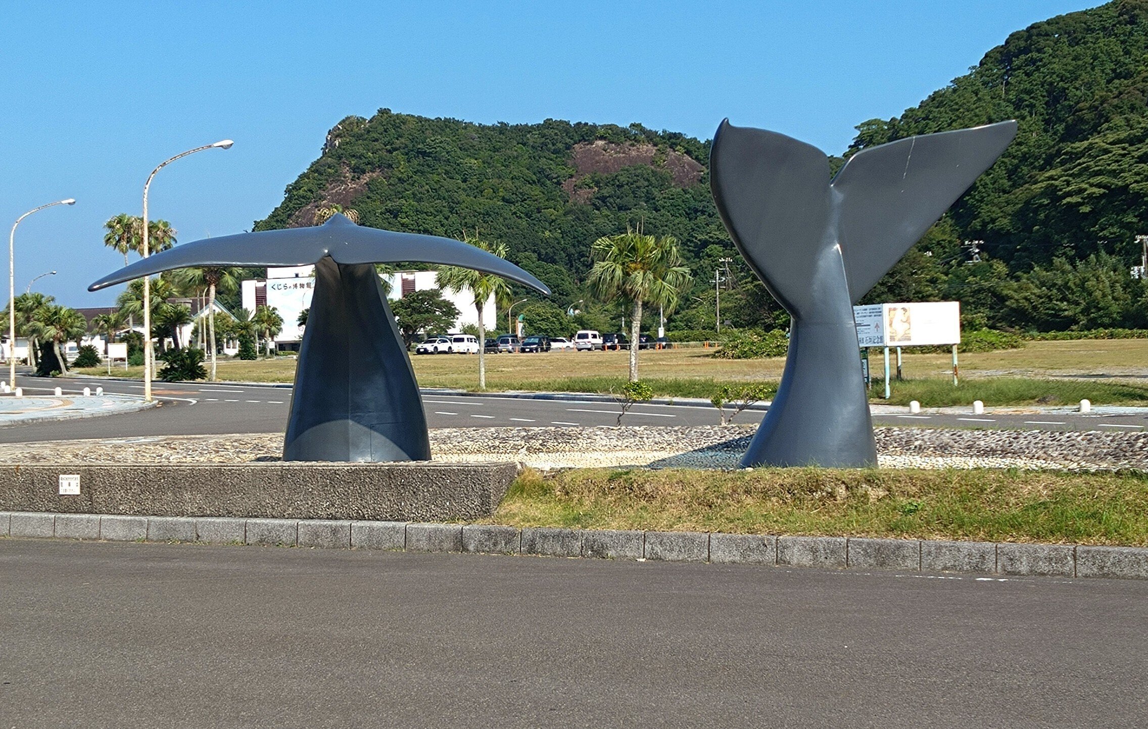 大人の自然教室・和歌山②】漁港、しっぽ、共生｜Lia* Yukihira