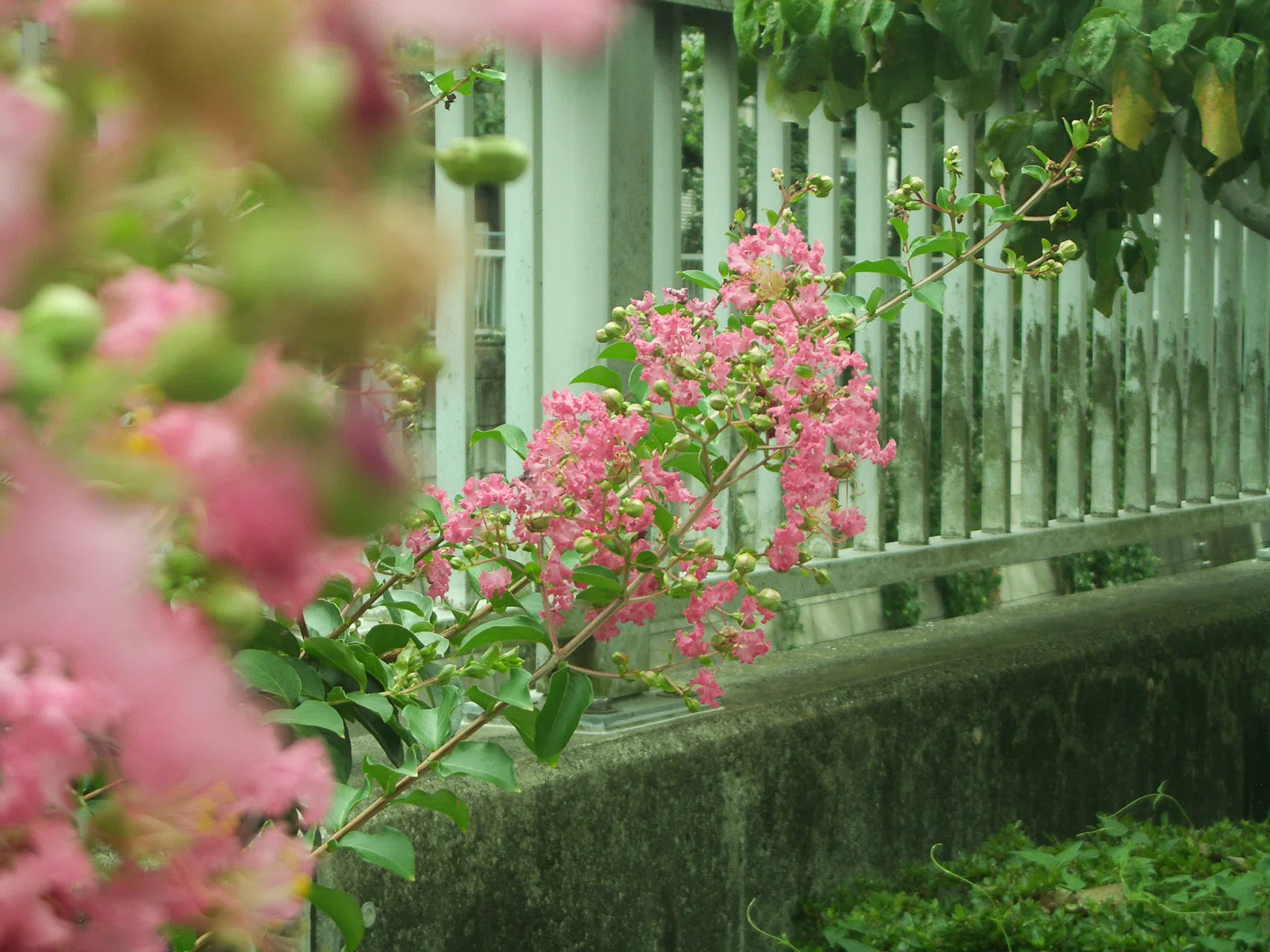 PENTAXって昔からそういうスタンスだったんだと気付いた日｜つぐさね