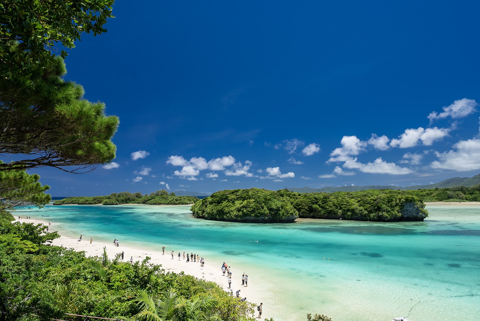 石垣島】川平湾からグラスボートが消えた｜atsushi okinawa