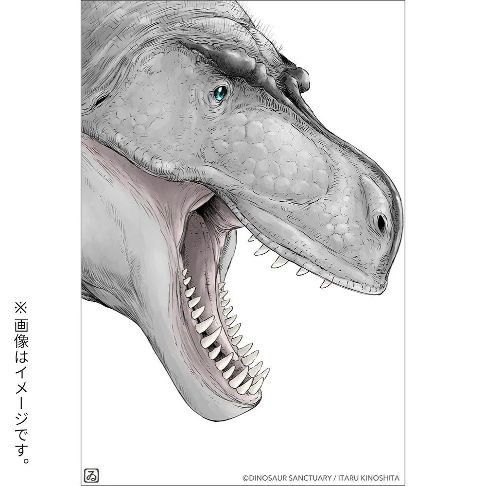 9月1日まで】イラストが選べる！「ディノサンえほん」サイン本、受注
