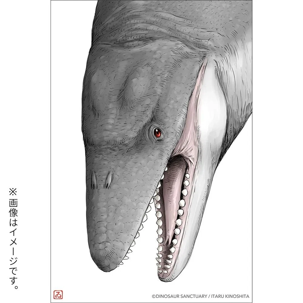 9月1日まで】イラストが選べる！「ディノサンえほん」サイン本、受注