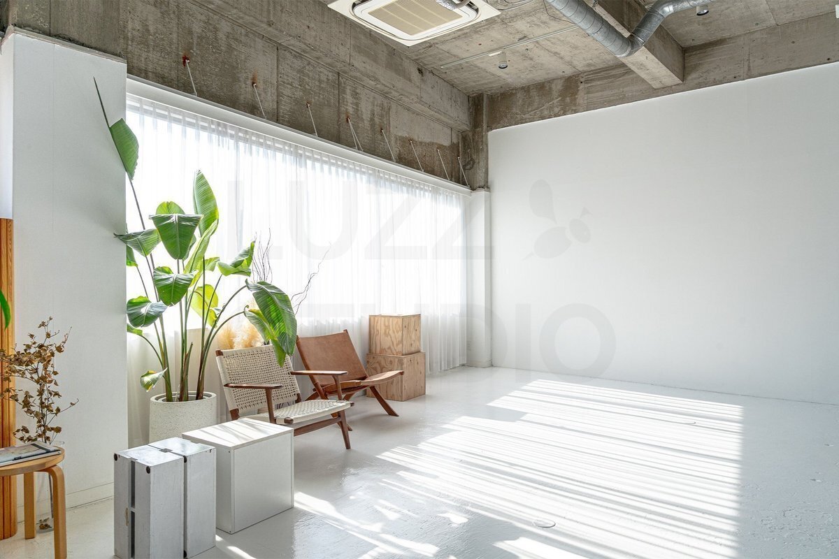 スタジオ撮影の照明選びのヒント — 定常光とストロボ、どっちが撮り