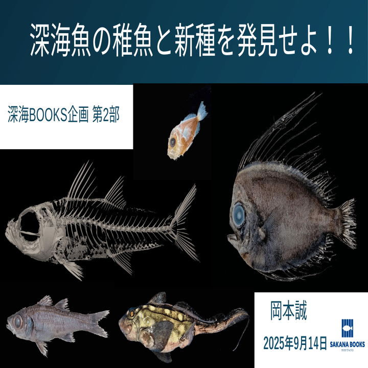 ヌーデンルード　深海魚 リュウグウノツカイより珍しい」 謎の深海魚“アカナマダ”を富山県沖で