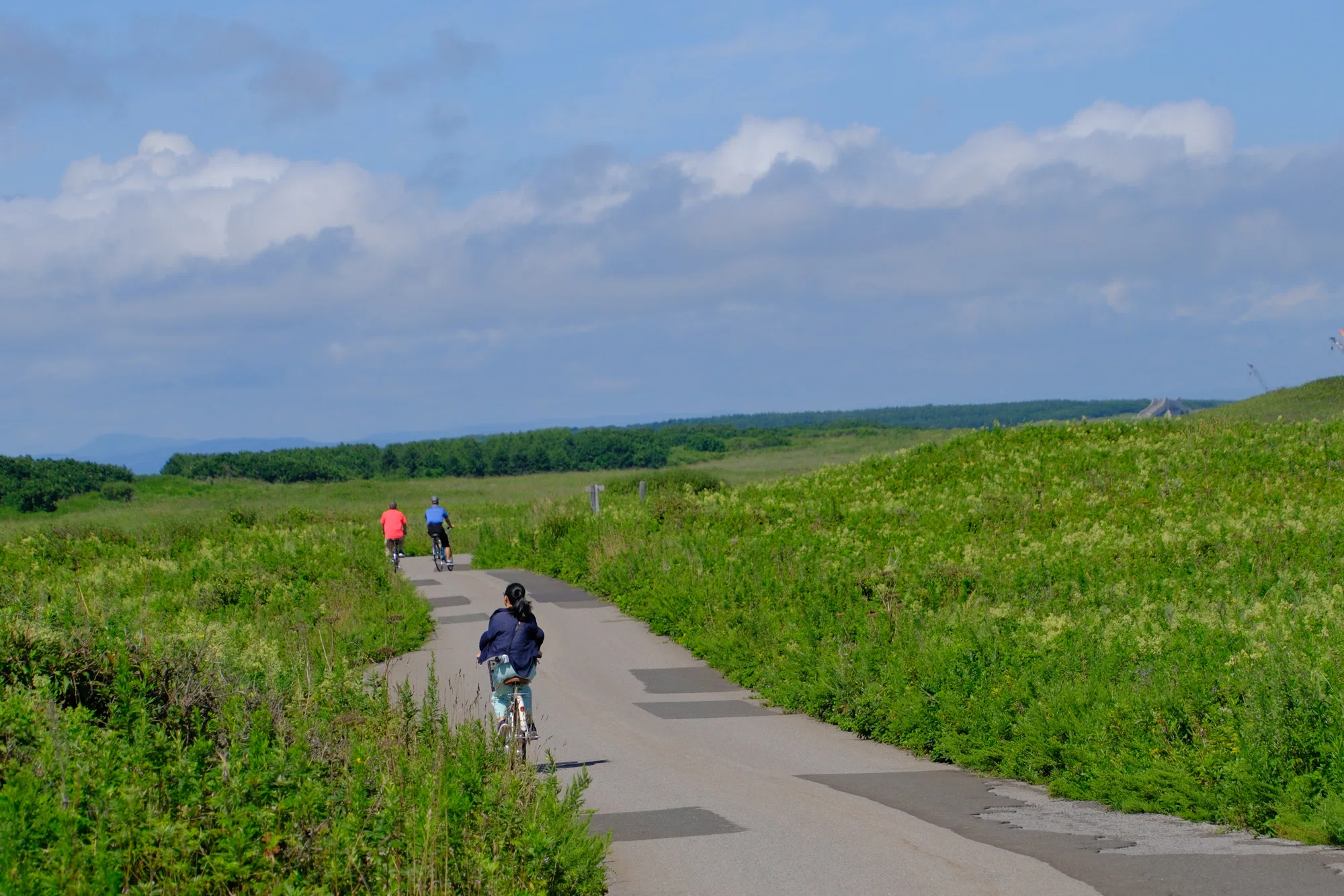 北海道遺産・ワッカ原生花園｜砂州に広がる花と野鳥【2025年8月／第36