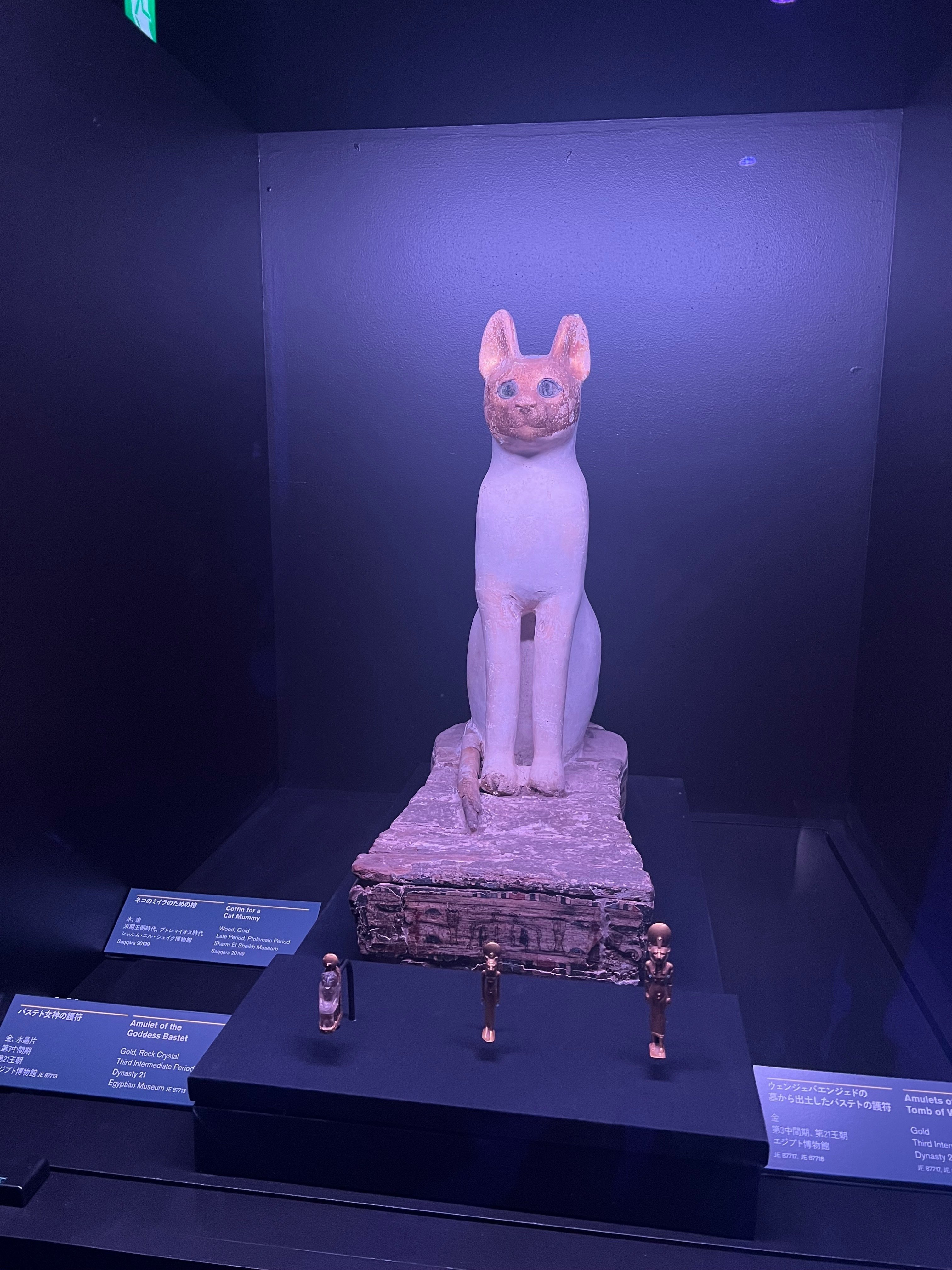 ラムセス大王展。ネコもいた。|3行日記｜ふぁん