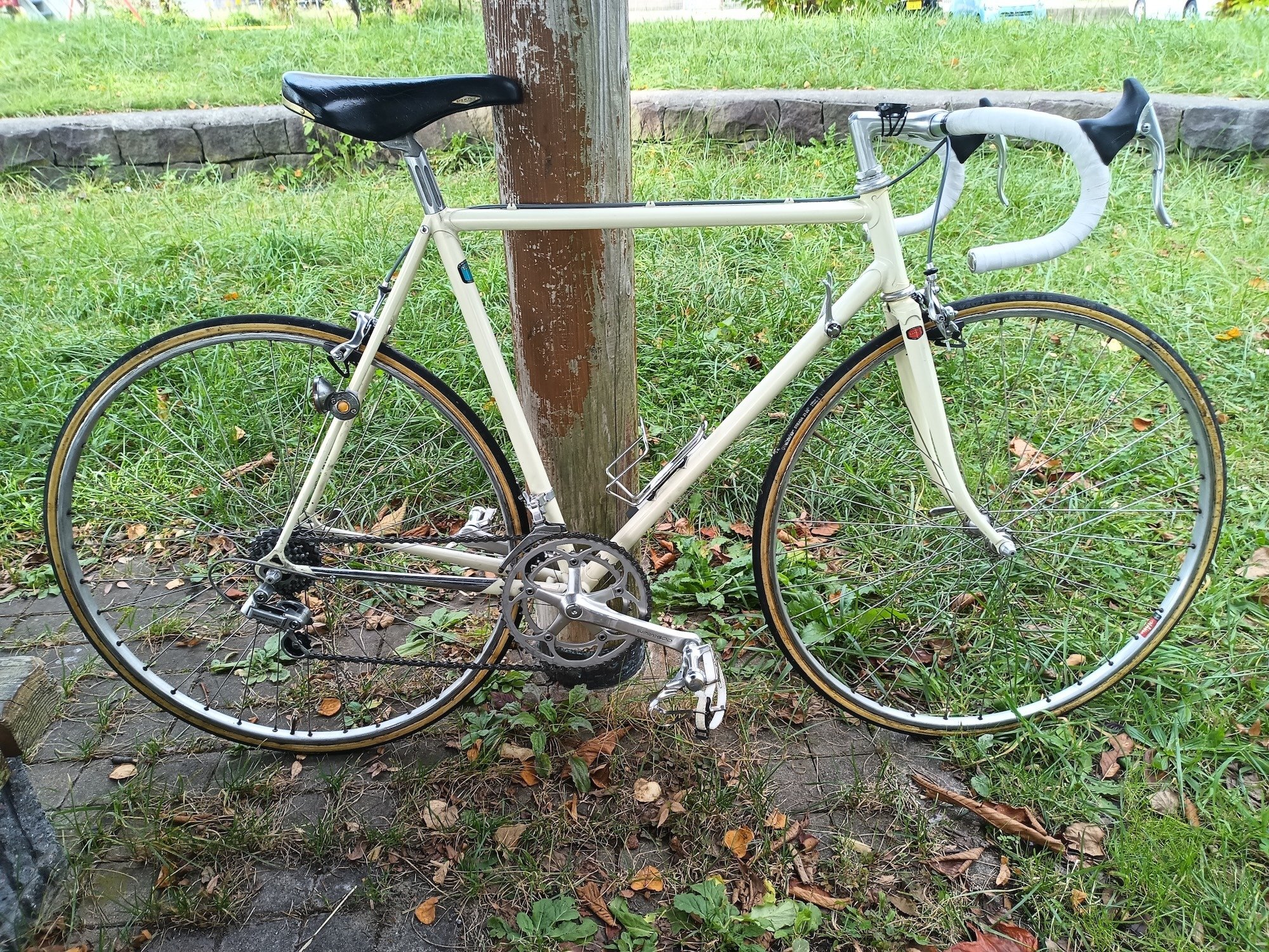 クロモリフレームの「しなやかさ」に関する一考察 （サイスポ2025年9月