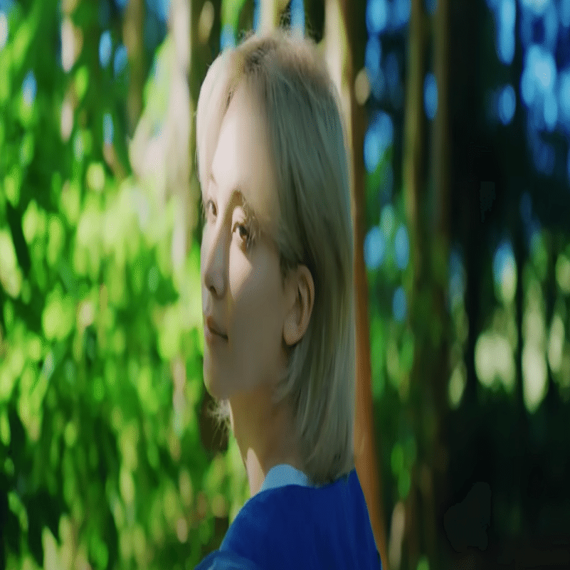 SEVENTEEN ジョンハン　Wanderlustなど　まとめ売り SEVENTEEN ジョンハン Wanderlustなど まとめ売り SEVENTEEN