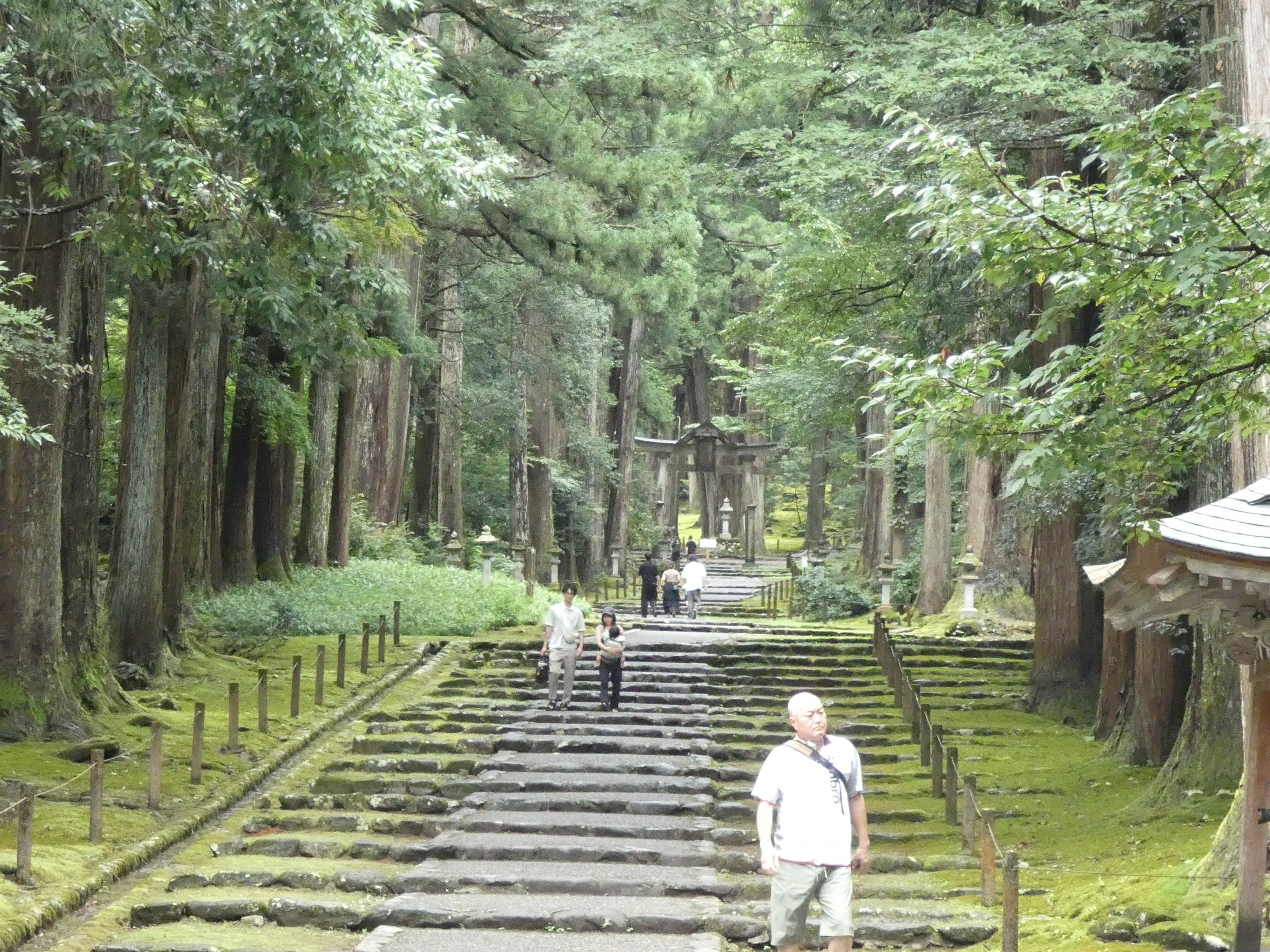 【越前白山神社図】敦史 994 福井県 平泉寺白山神社 共箱二重箱 掛け軸　肉筆 越前国の白山めぐり⑤ ～平泉寺白山神社～ | NAVI彦