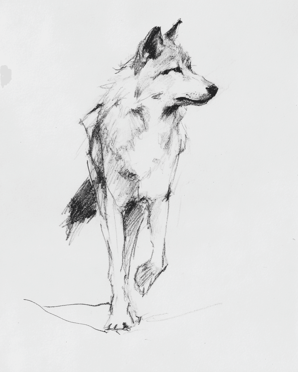 ラフスケッチ風の世界を描く。プロンプトはメンバーシップ限定で公開