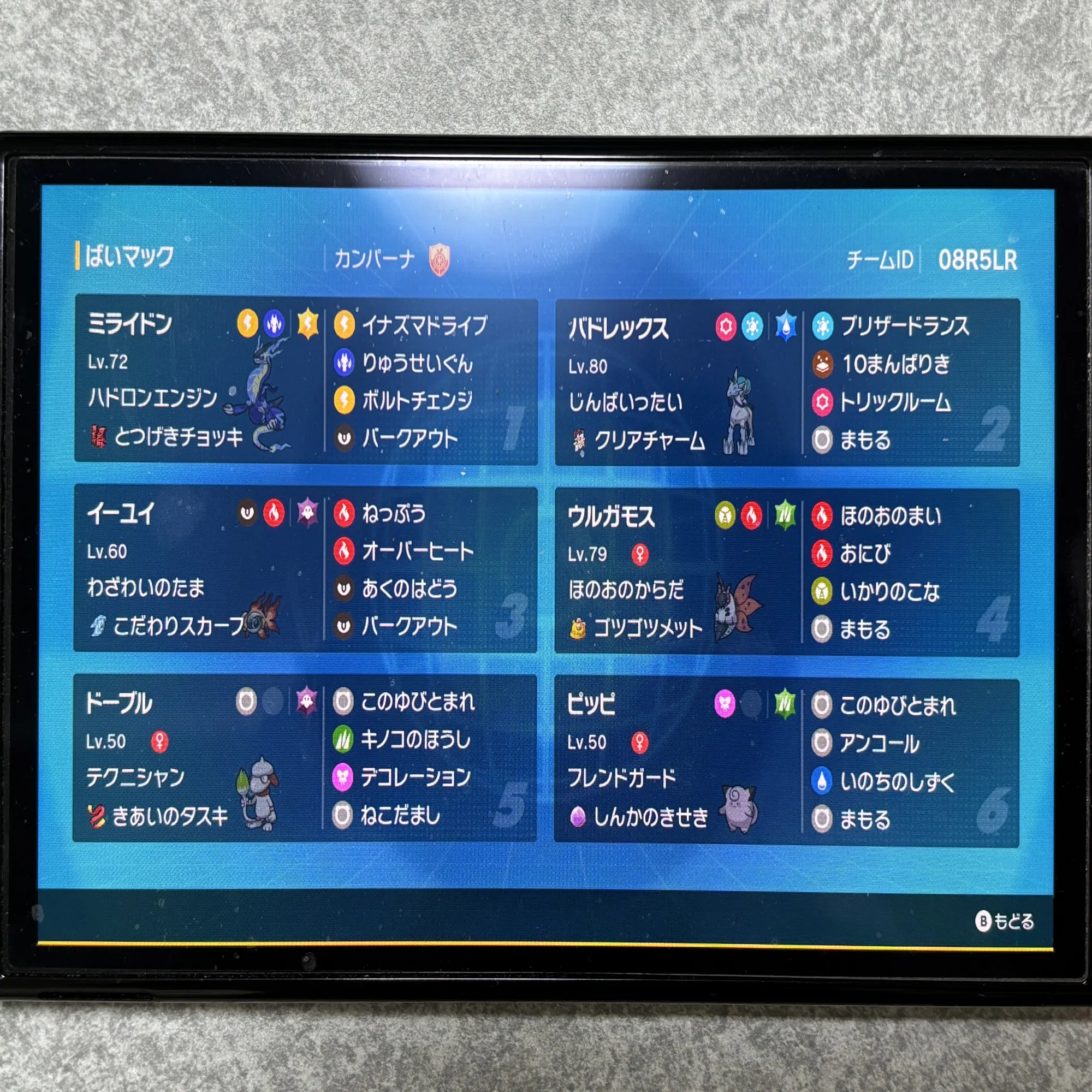デコレーション白馬ミライ_PJCS本戦使用構築｜Bellbird