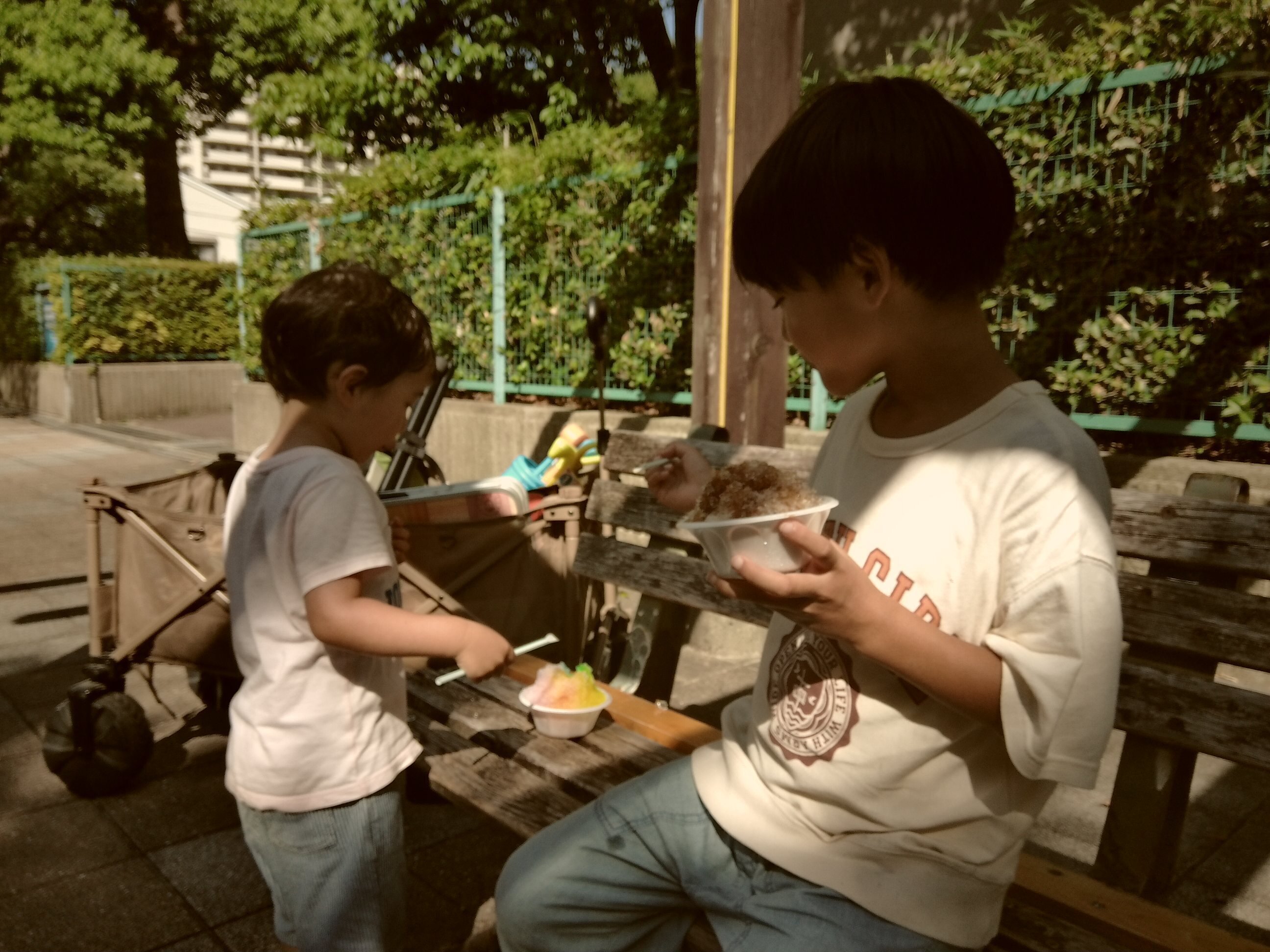 Kodak PIXPRO C1】で撮った日常がエモかった。レトロモード＆白黒