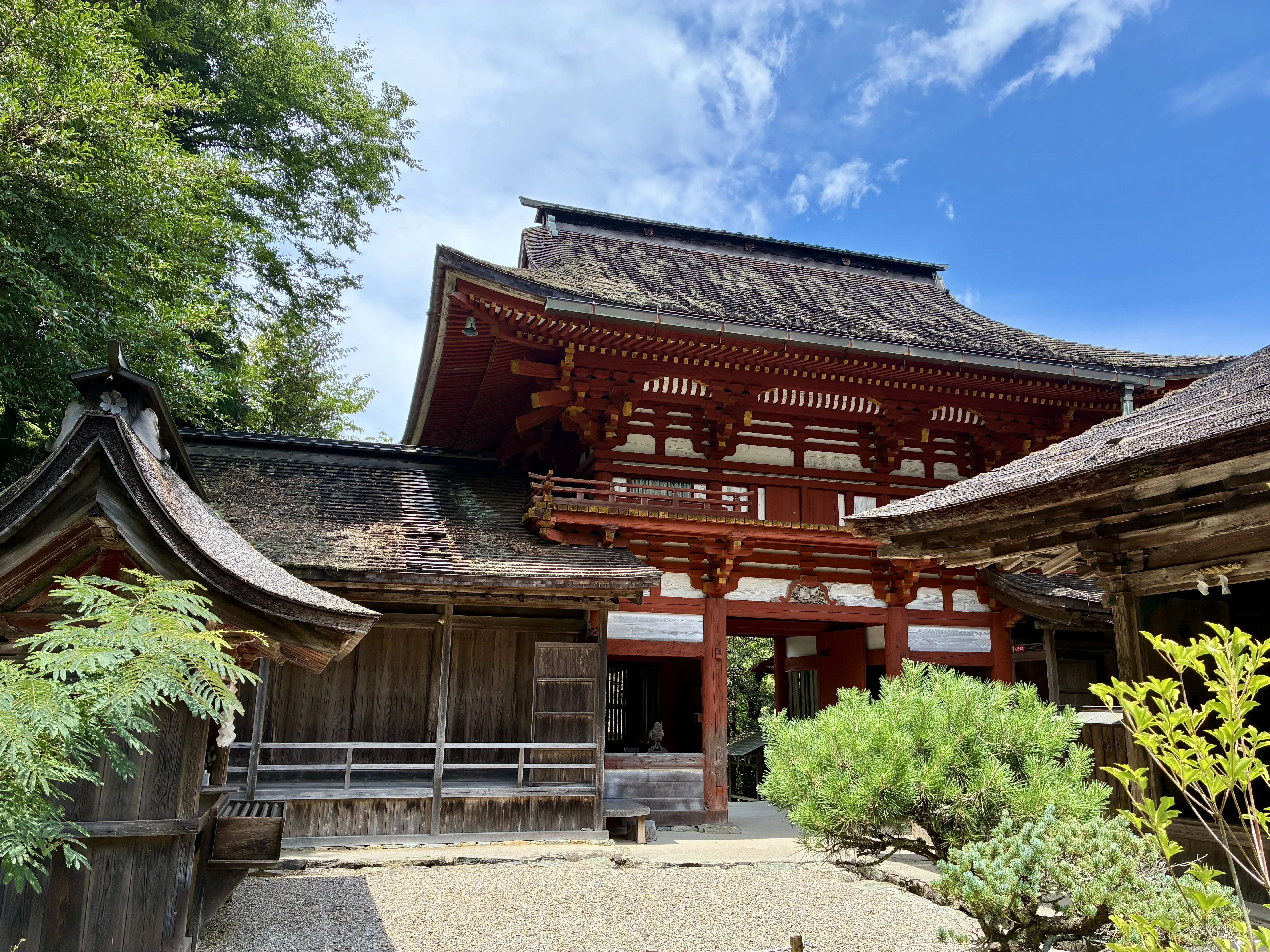 吉野山（吉野城）へ行ってきました。後編｜ぐこ