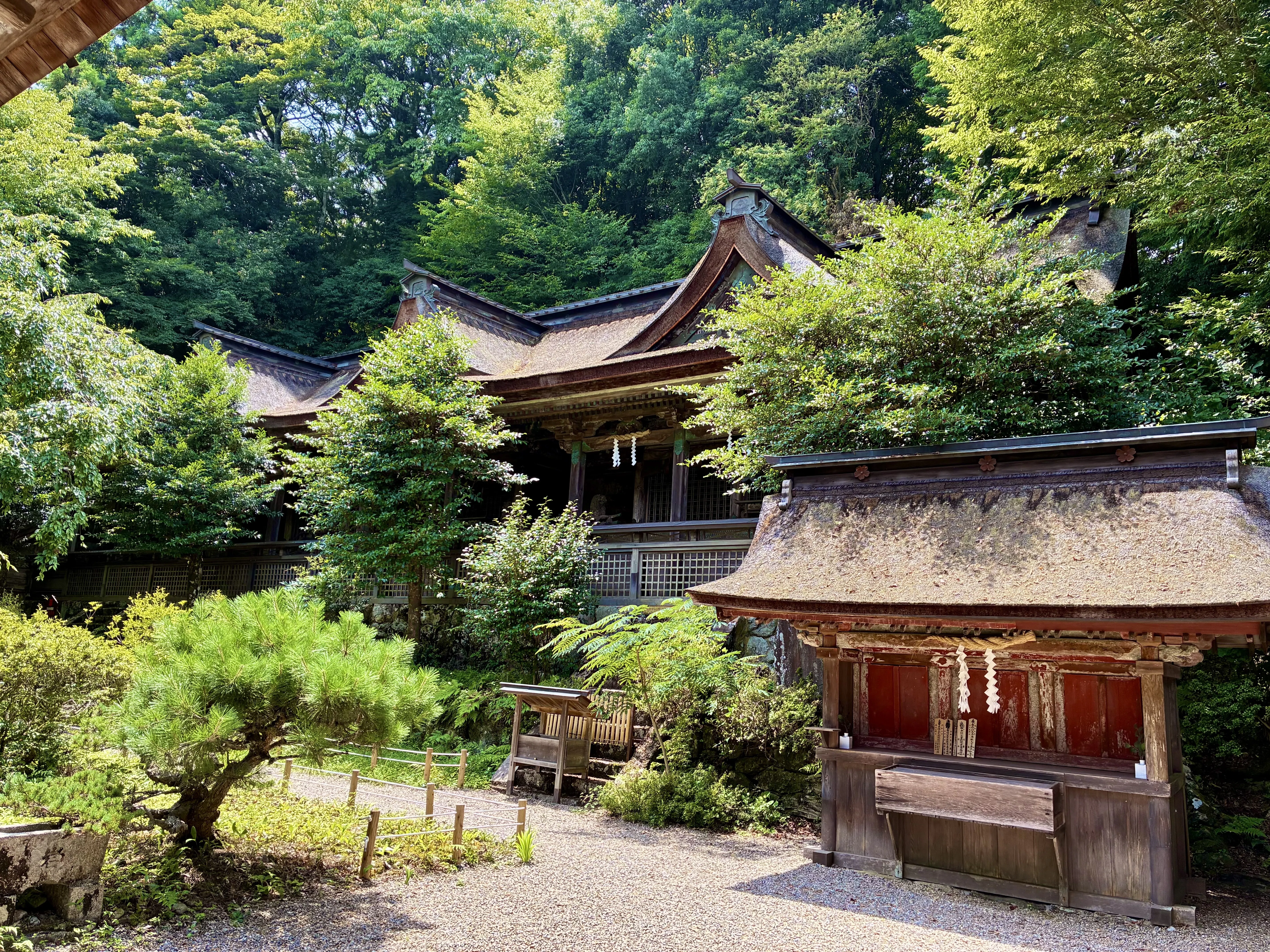 吉野山（吉野城）へ行ってきました。後編｜ぐこ