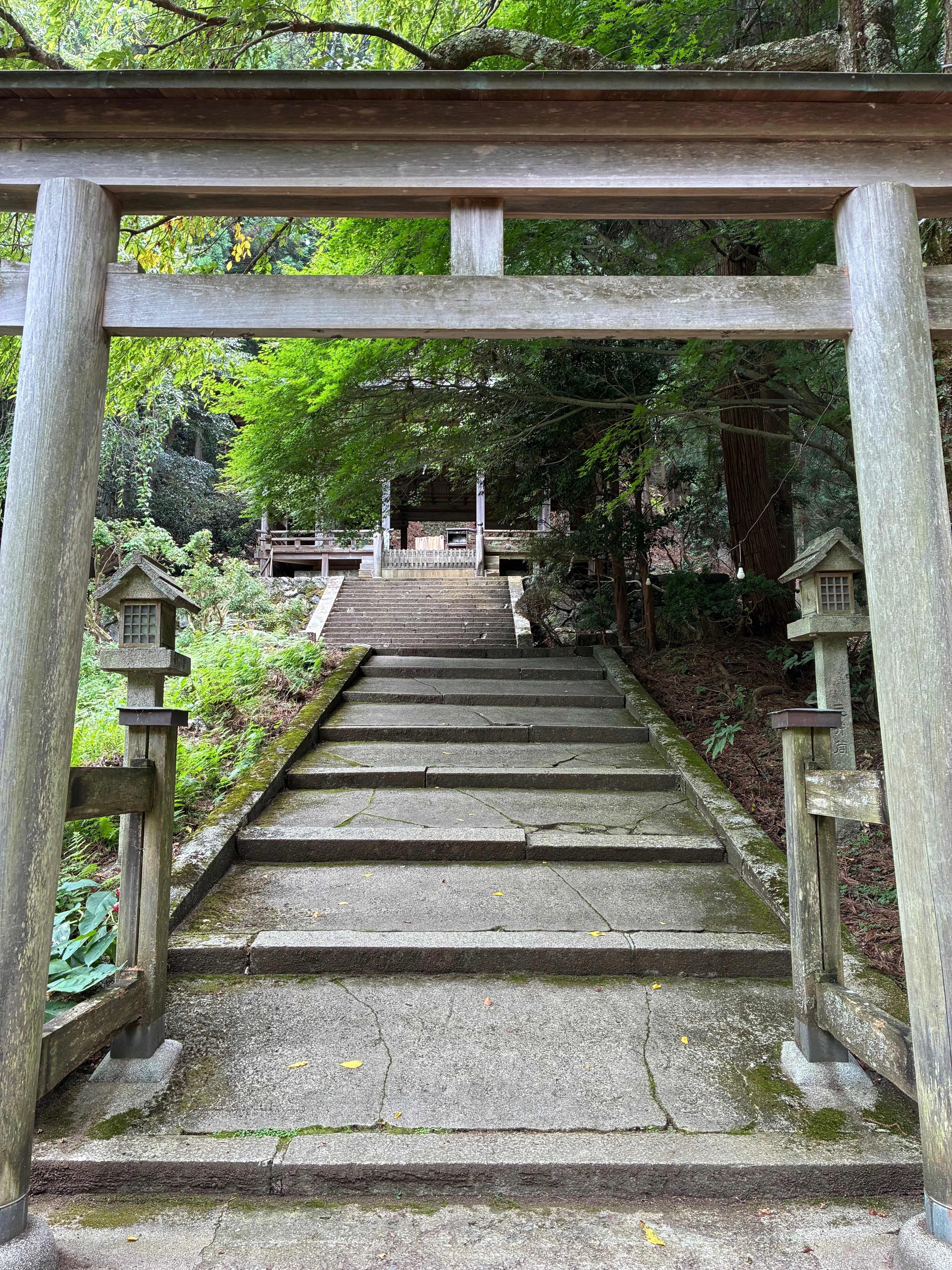吉野山（吉野城）へ行ってきました。後編｜ぐこ