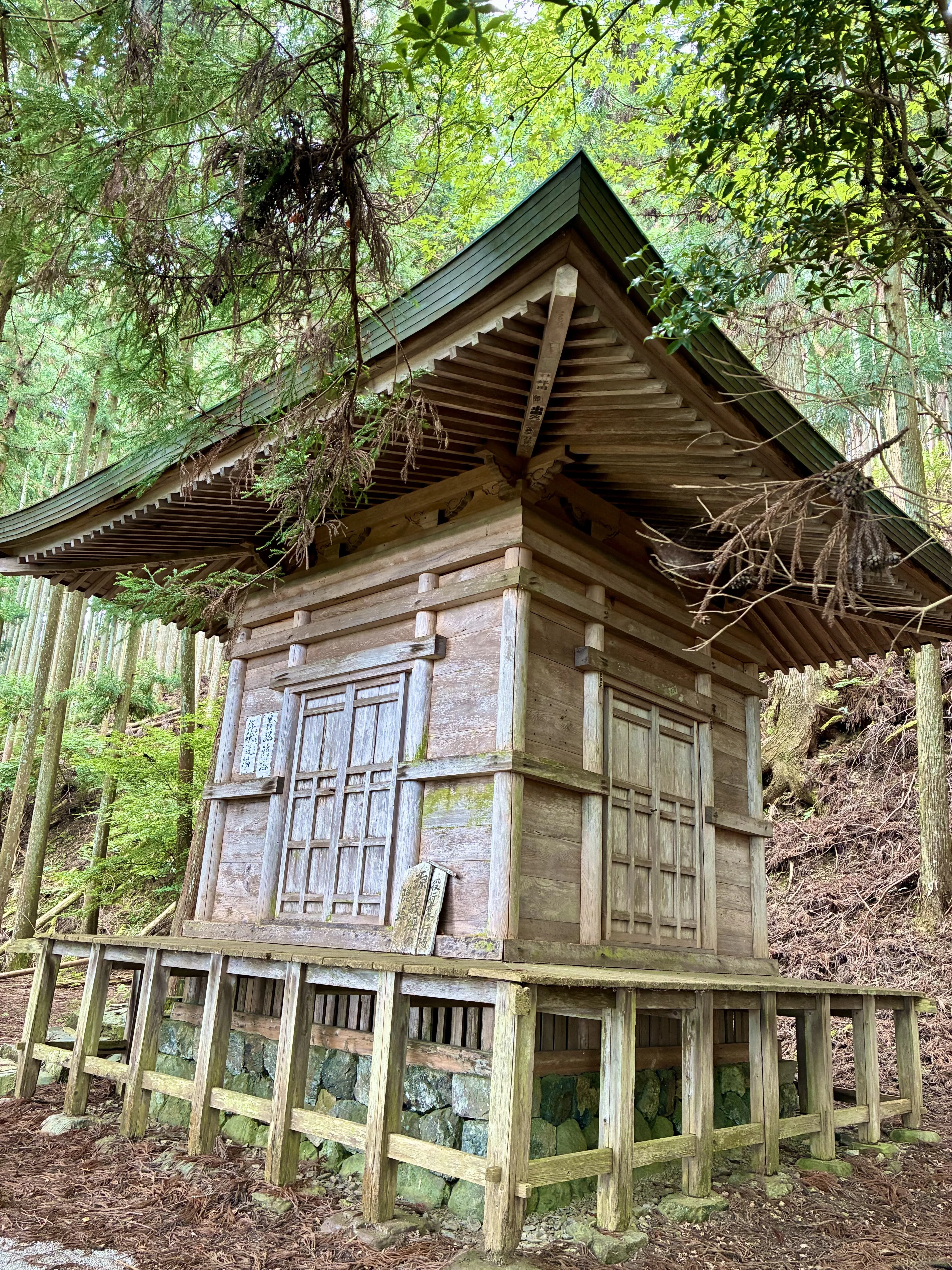 吉野山（吉野城）へ行ってきました。後編｜ぐこ