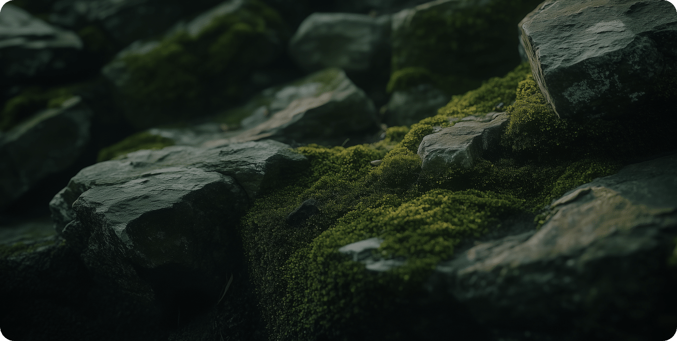 今後の投稿について(テスト投稿2)