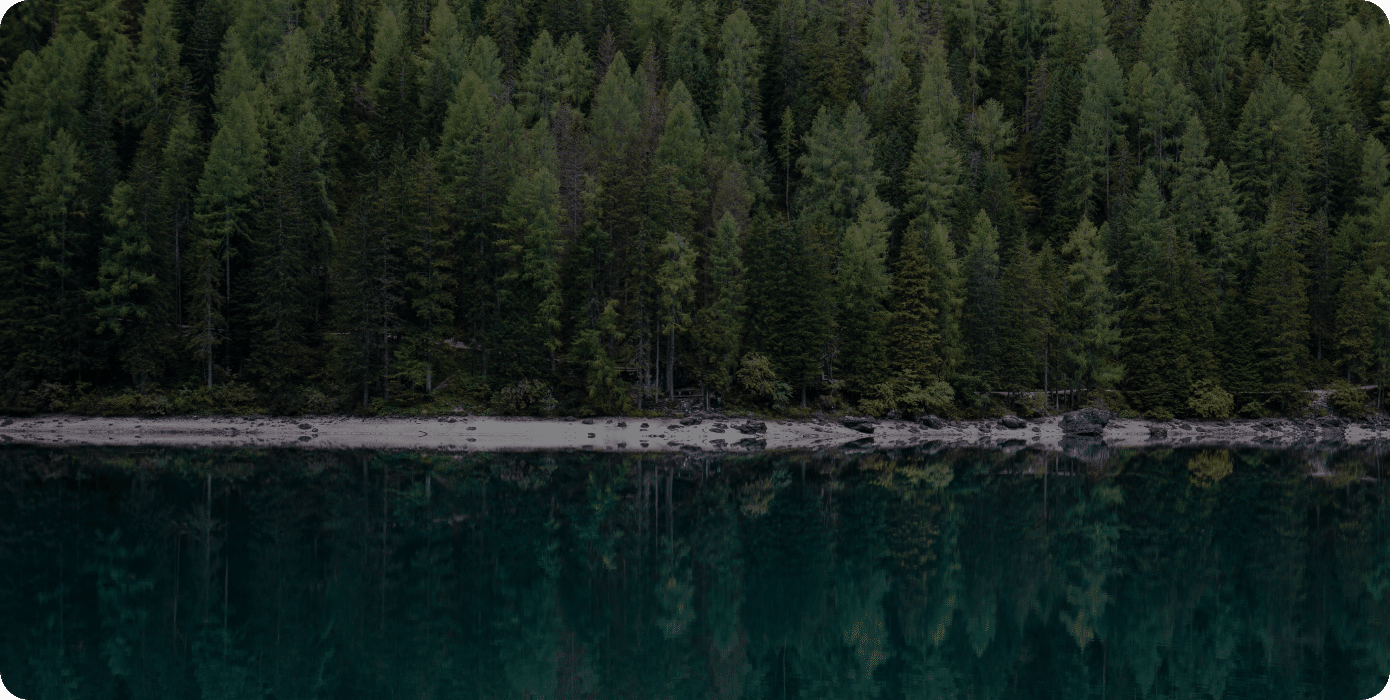 今後の投稿について(テスト投稿1)