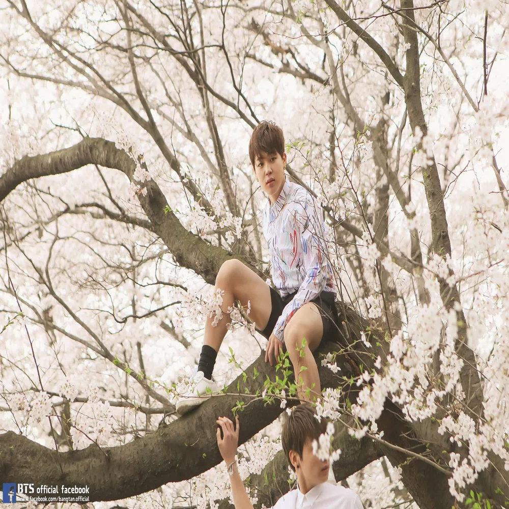 JIMIN2015[20歳誕生日]｜beforesunrise59