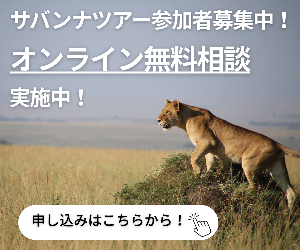 洋書◆ケニアの写真集 本 アフリカ サバンナ 自然 動物 ライオン フラミンゴ rectangle_large_type_2_6b169d0