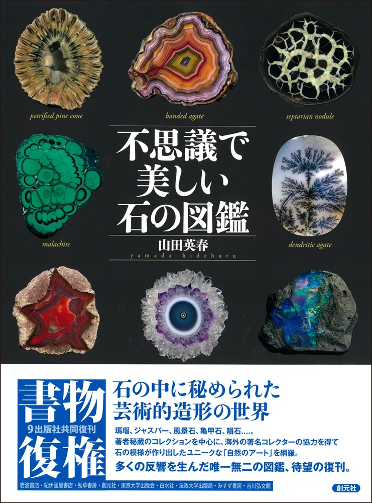 石の本、売ってます。2025｜創元社note部