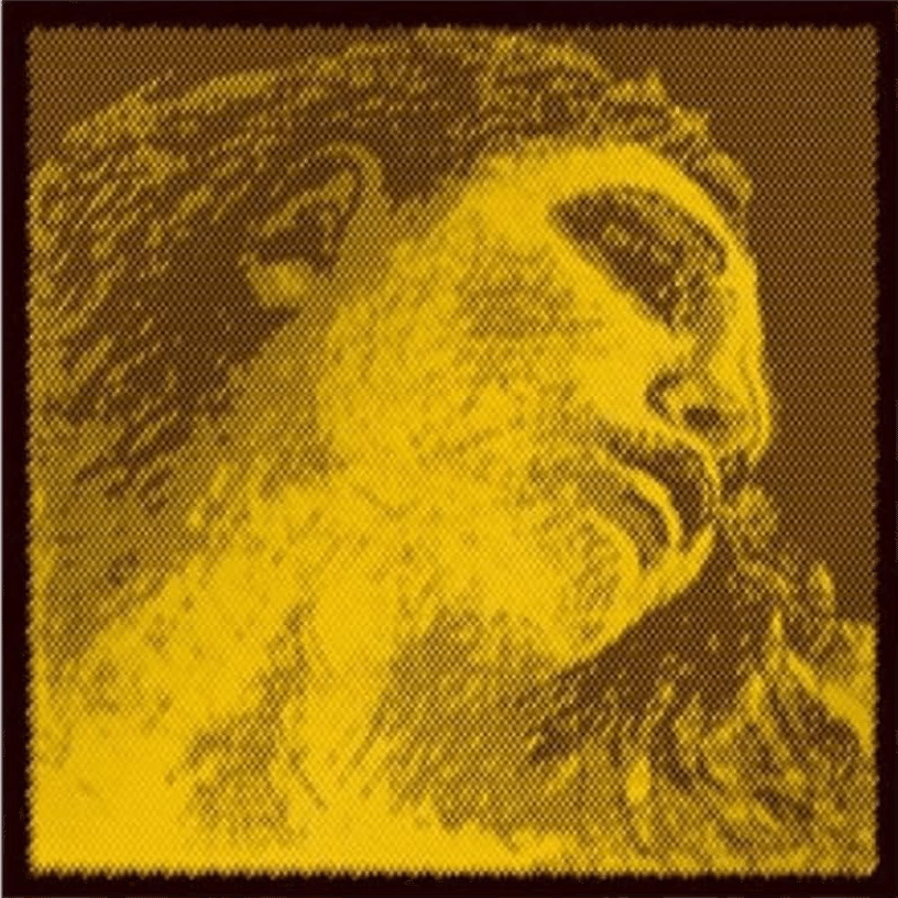 バイオリン弦】エヴァピラッツィ ネオが最高✨すぎる‼️｜のんびり☆