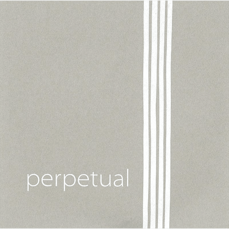 バイオリン弦】エヴァピラッツィ ネオが最高✨すぎる‼️｜のんびり☆