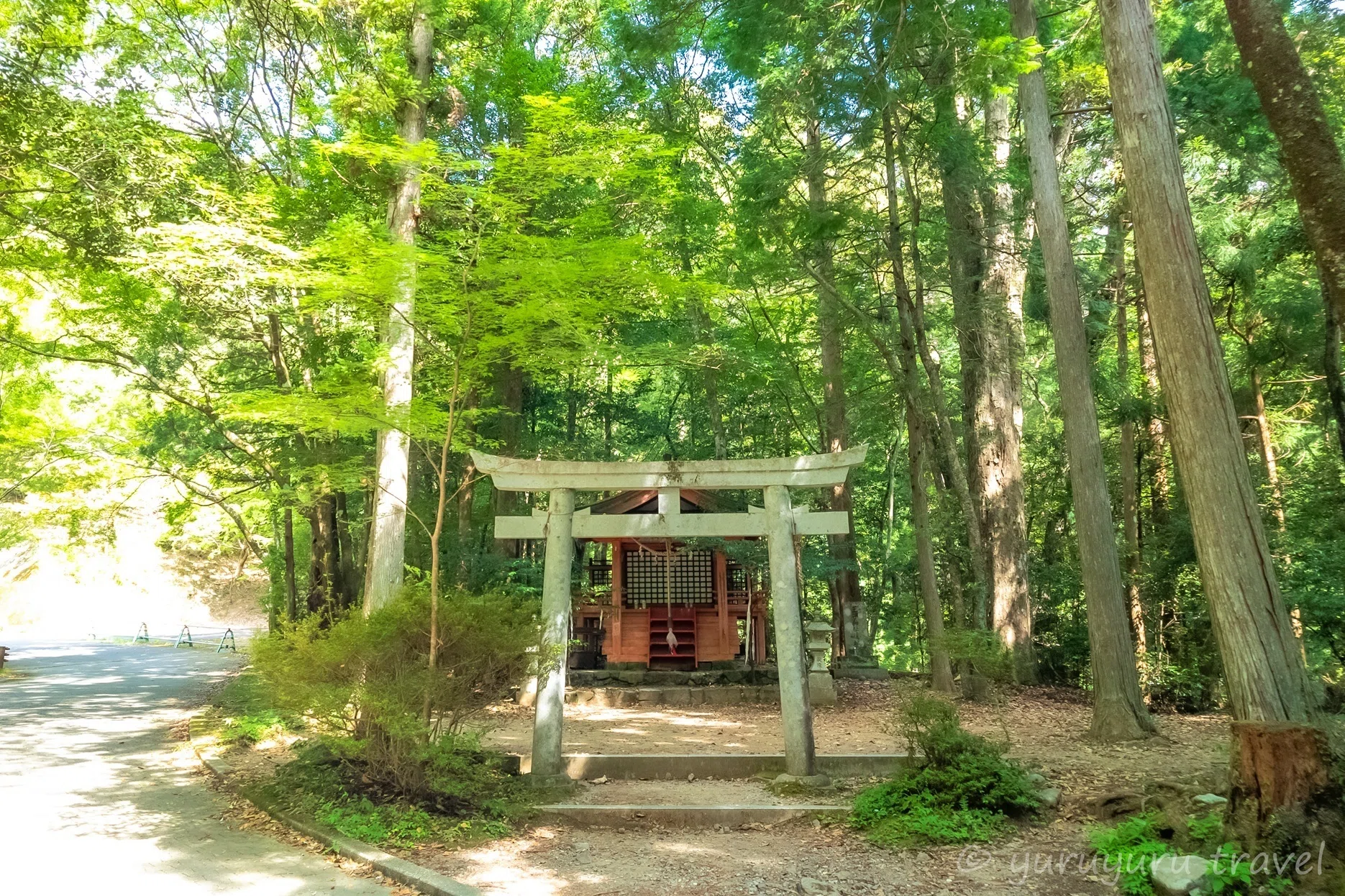 熊野詣2025 その前に 熊野古道について｜さくさく