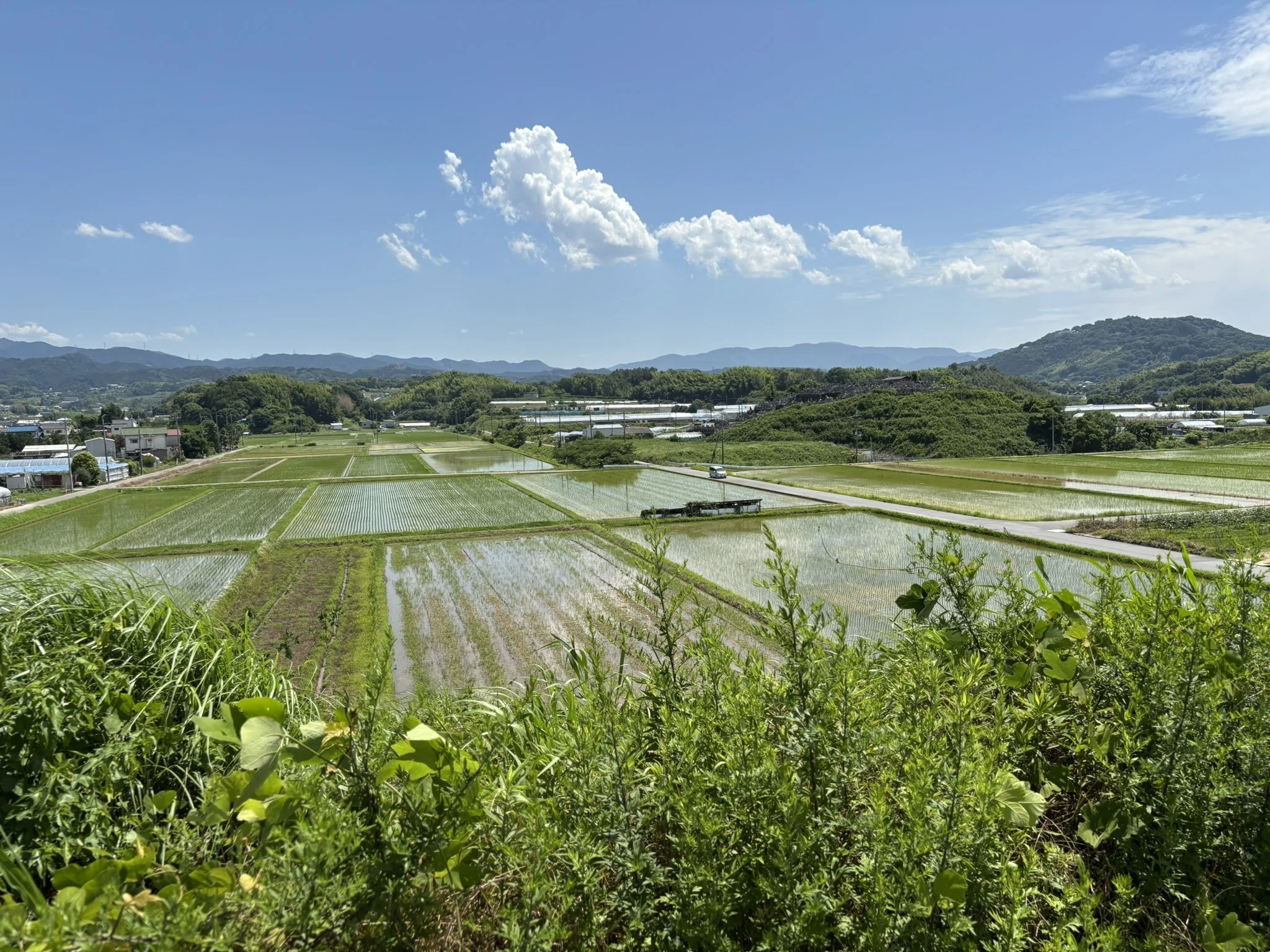 南河内郡河南町】古代豪族が見た風景と同じ？寛弘寺の七ツ墓と言われた