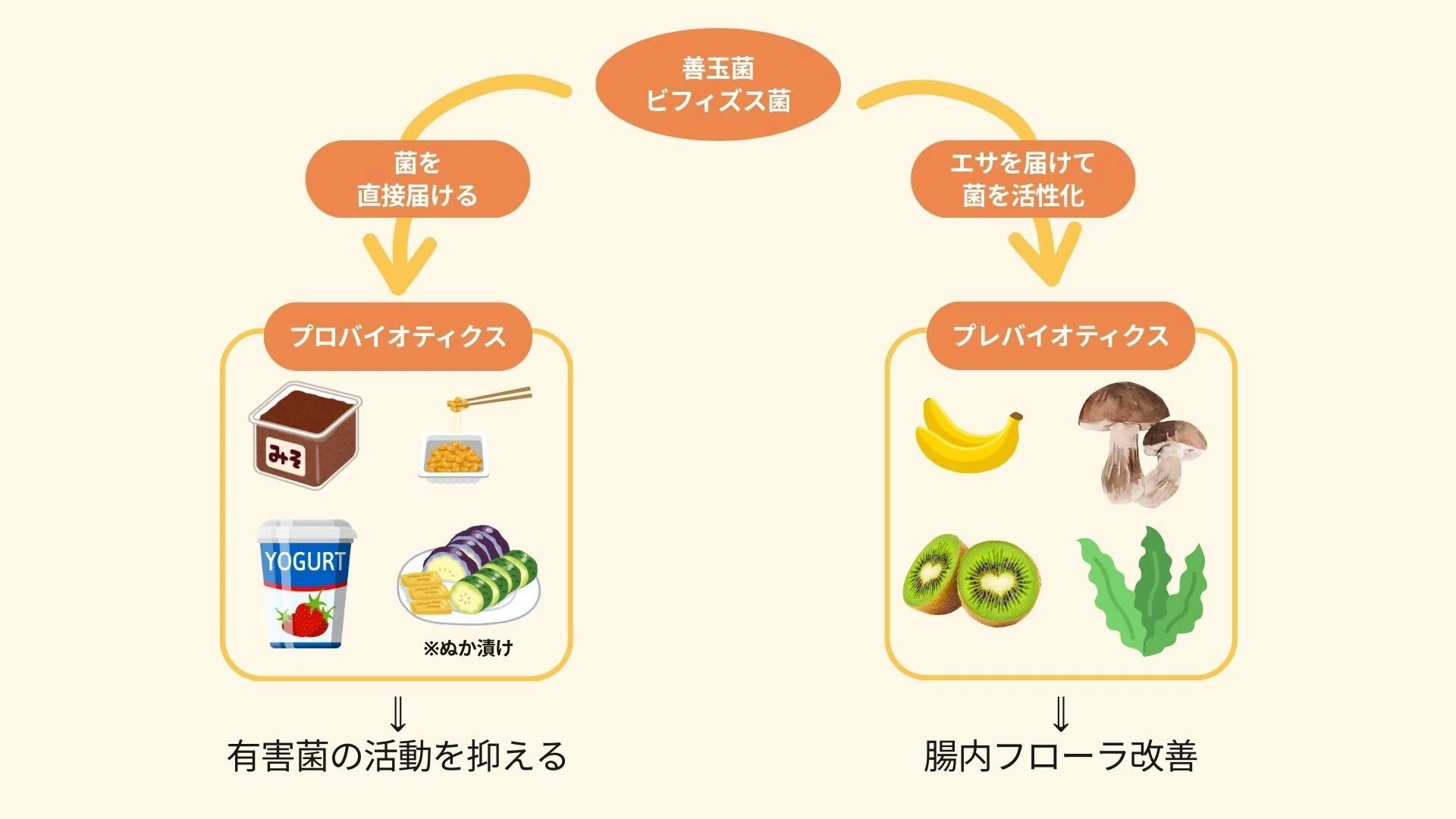 腸内環境を整える/REオーラ | ヤマダウェブコム
