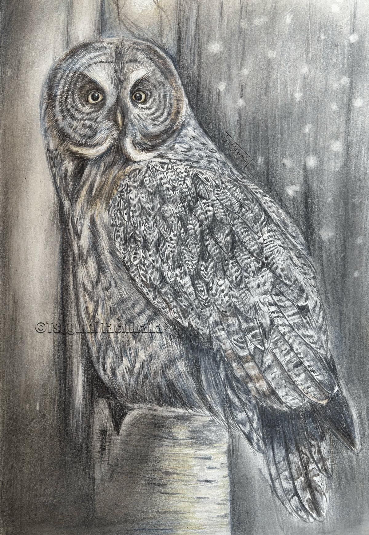 油絵　専用　バッグをたくさん持つ鳥 油絵 専用 バッグをたくさん持つ鳥 過激