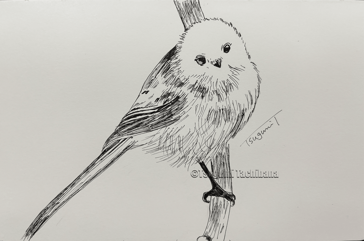 絵画 bird Orig Bird Art Painting by Arthur Singer,1976, Created for US Stamp