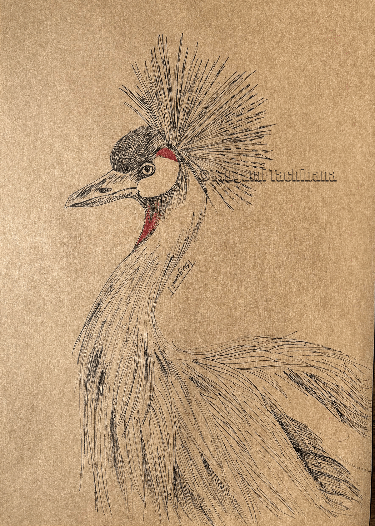 油絵　ロンロンロン　ドライブする鳥 油絵 ロンロンロン ドライブする鳥 American Sailor Riding a