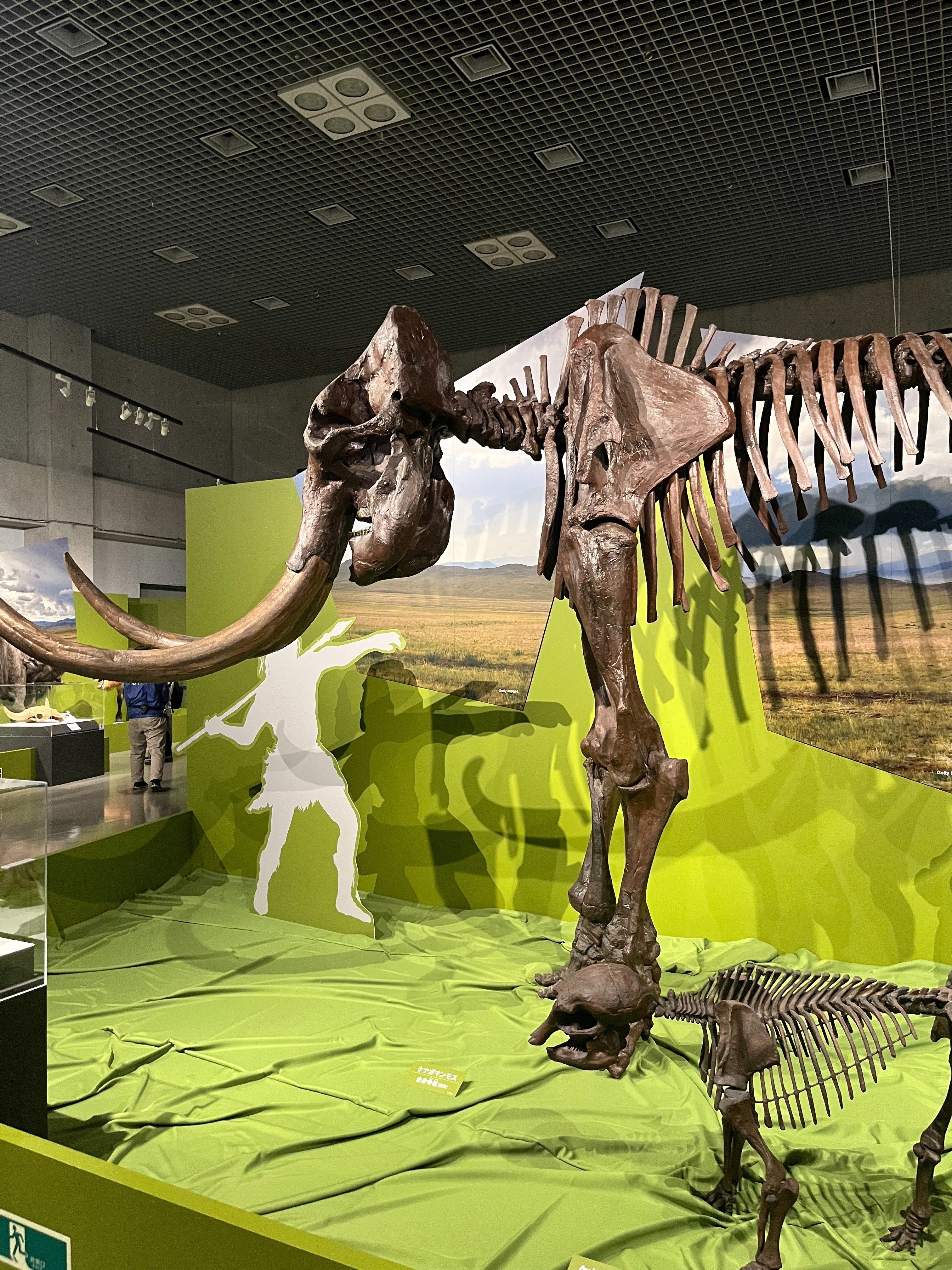 Tokyo Art] : 氷河期展〜人類が見た4万年前の世界｜mzk : ジャカルタ