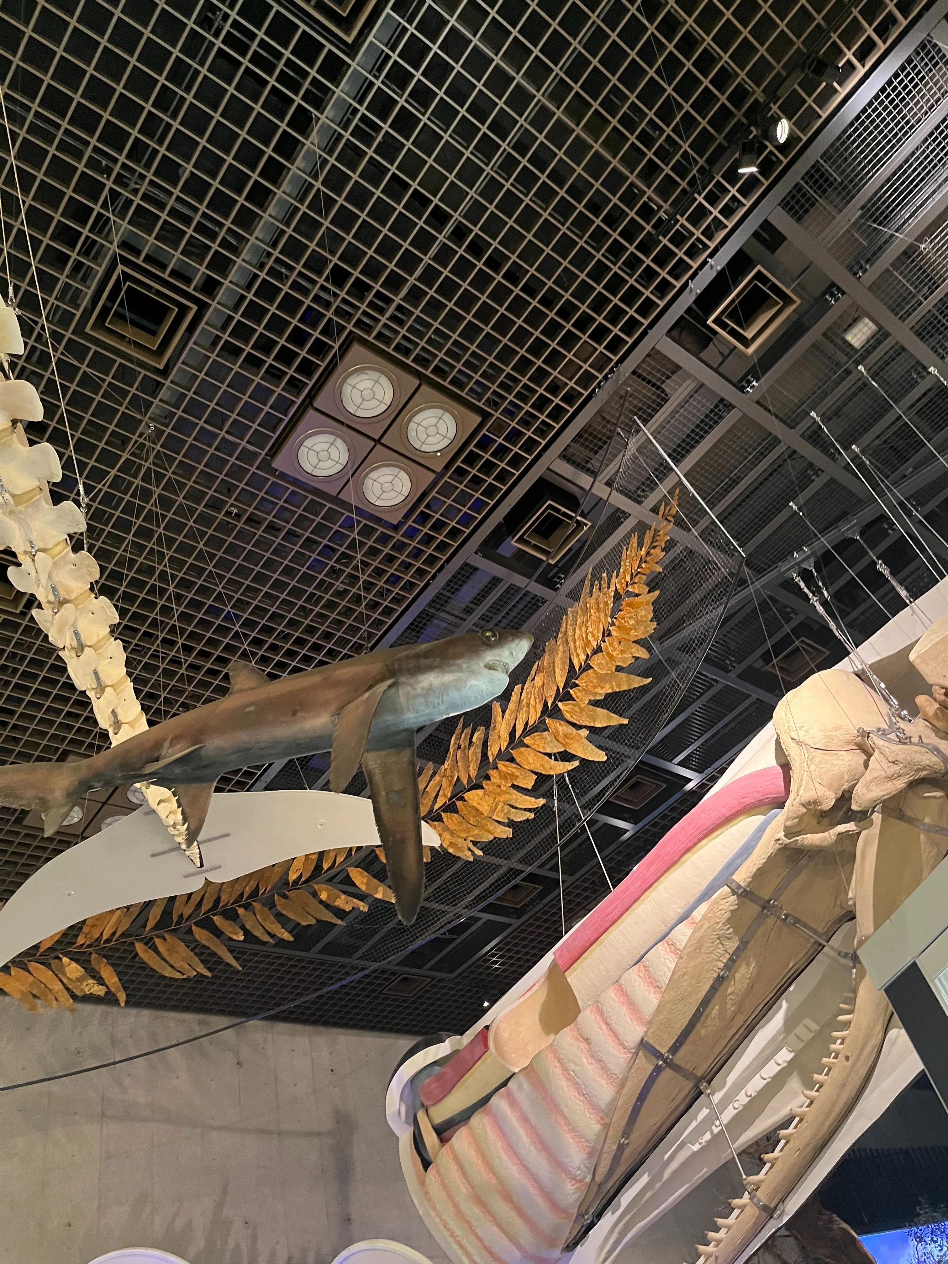 Tokyo Art] : 氷河期展〜人類が見た4万年前の世界｜mzk : ジャカルタ