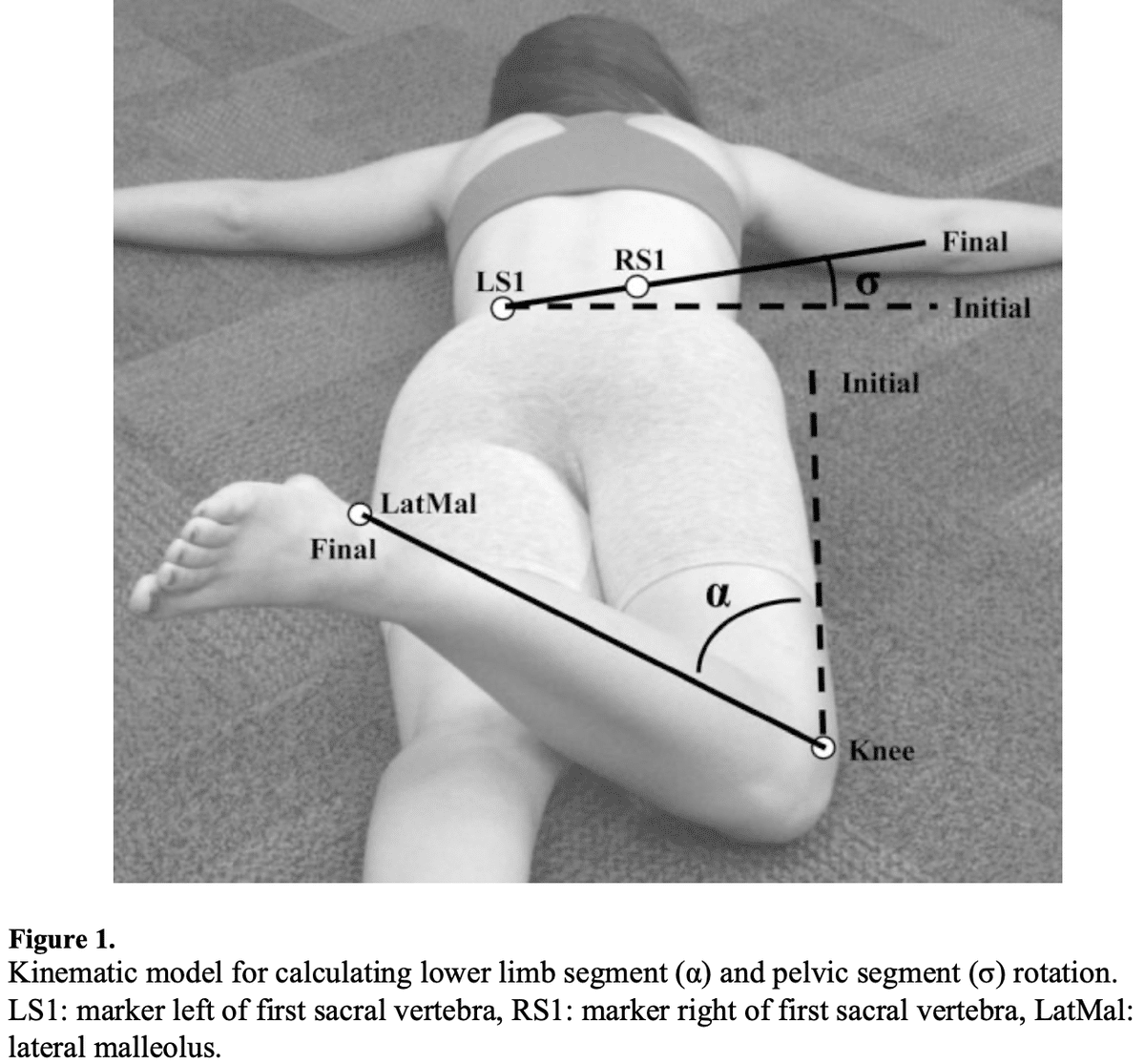 動き出し”に注目する】慢性腰痛における腰椎骨盤制御の重要性