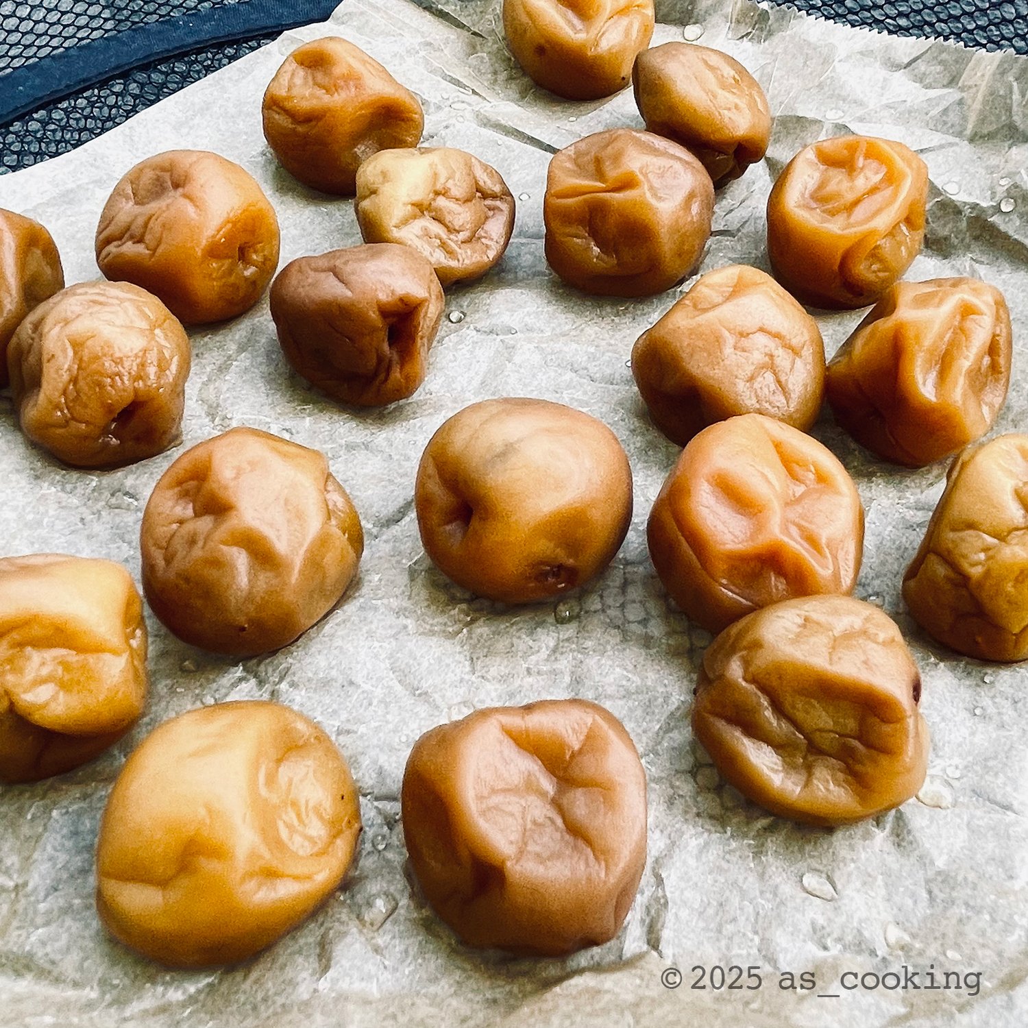 梅干し(2025)｜as