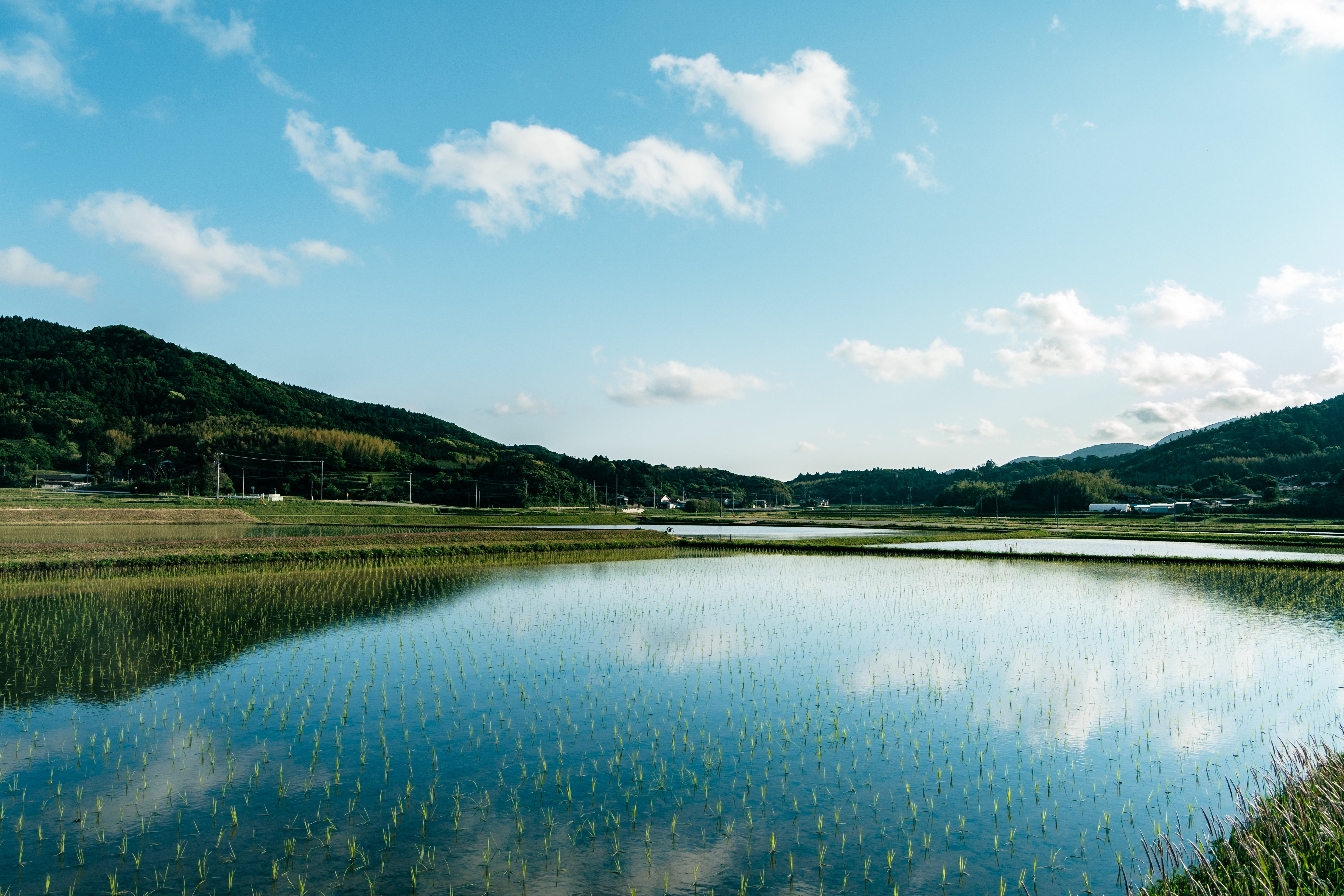 島の風景、夏のかけらたち｜ないものはない 海士町公式 note