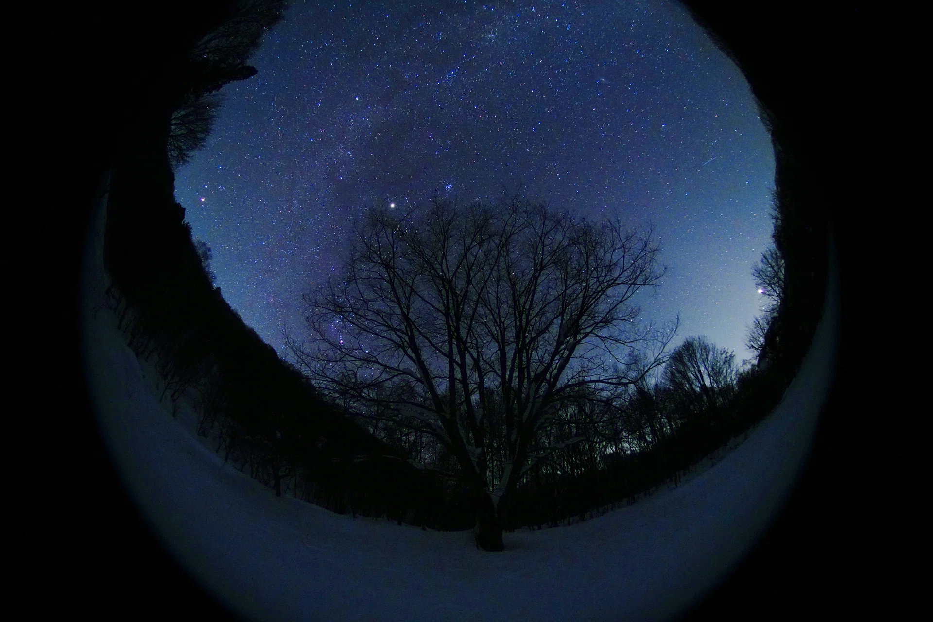 風景の眼 星景写真に使っているレンズ（広角編）｜nakagawa tatsuo