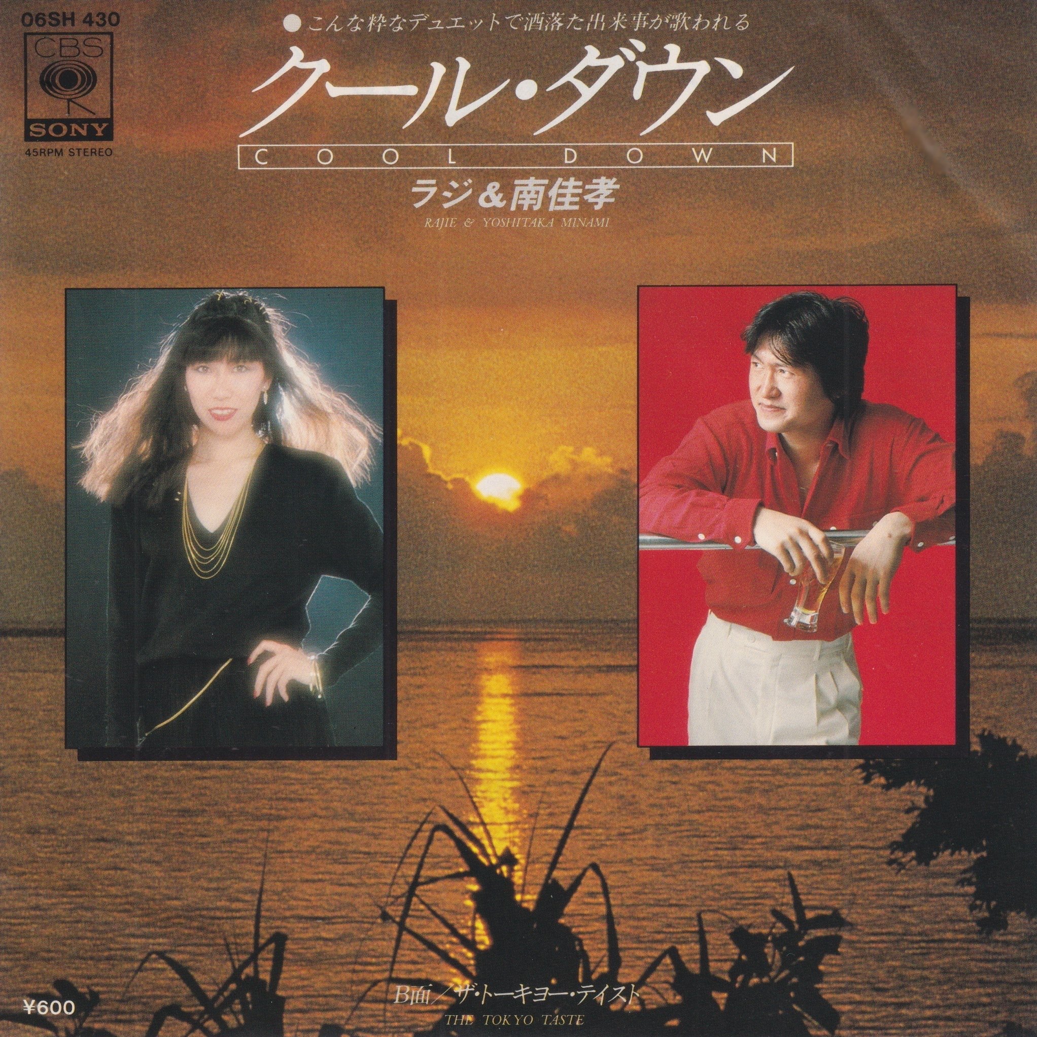 南佳孝とラジの7インチコレクション（12枚）｜リョウアライ