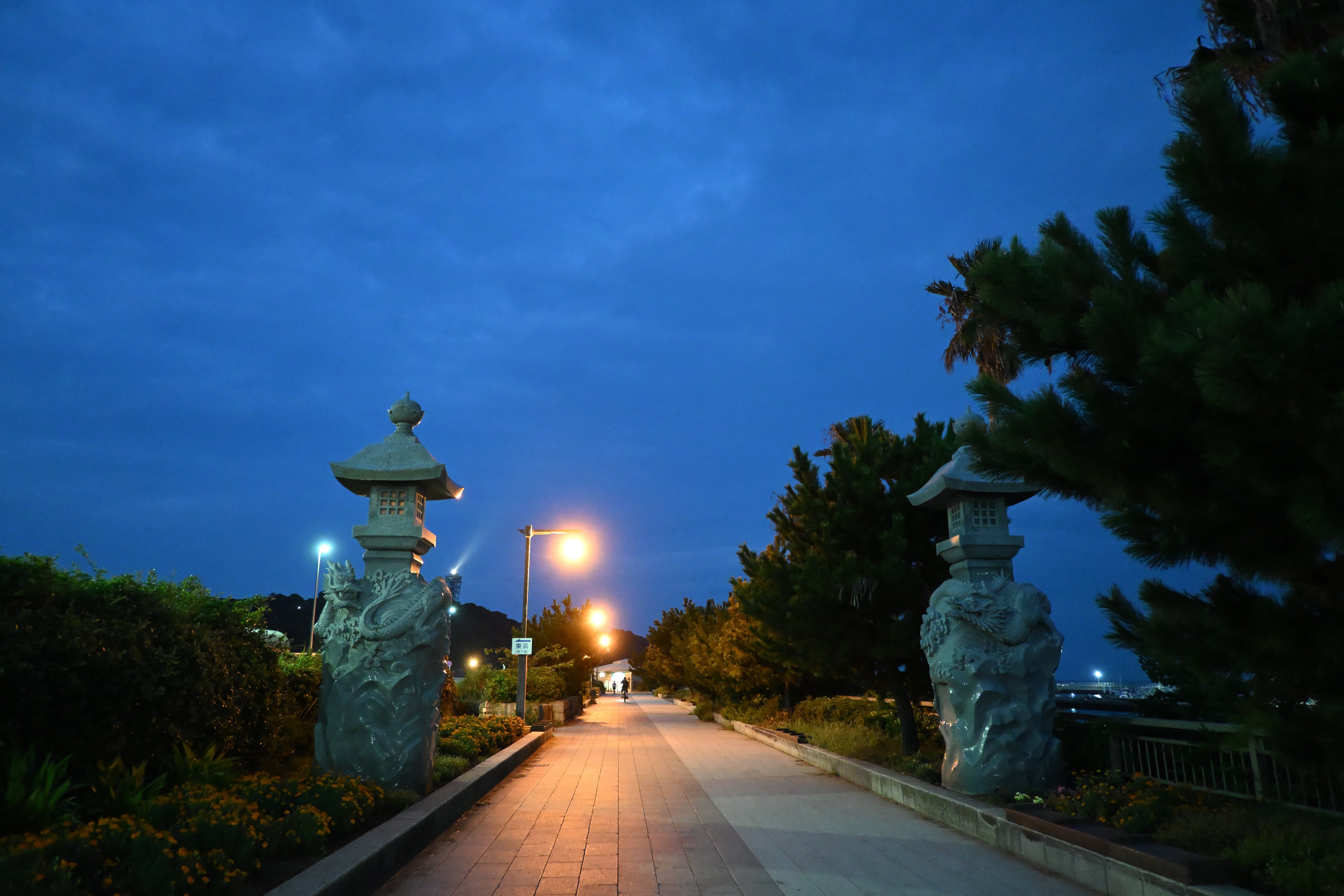 Z50II part11 (暗所：早朝)｜HAJ